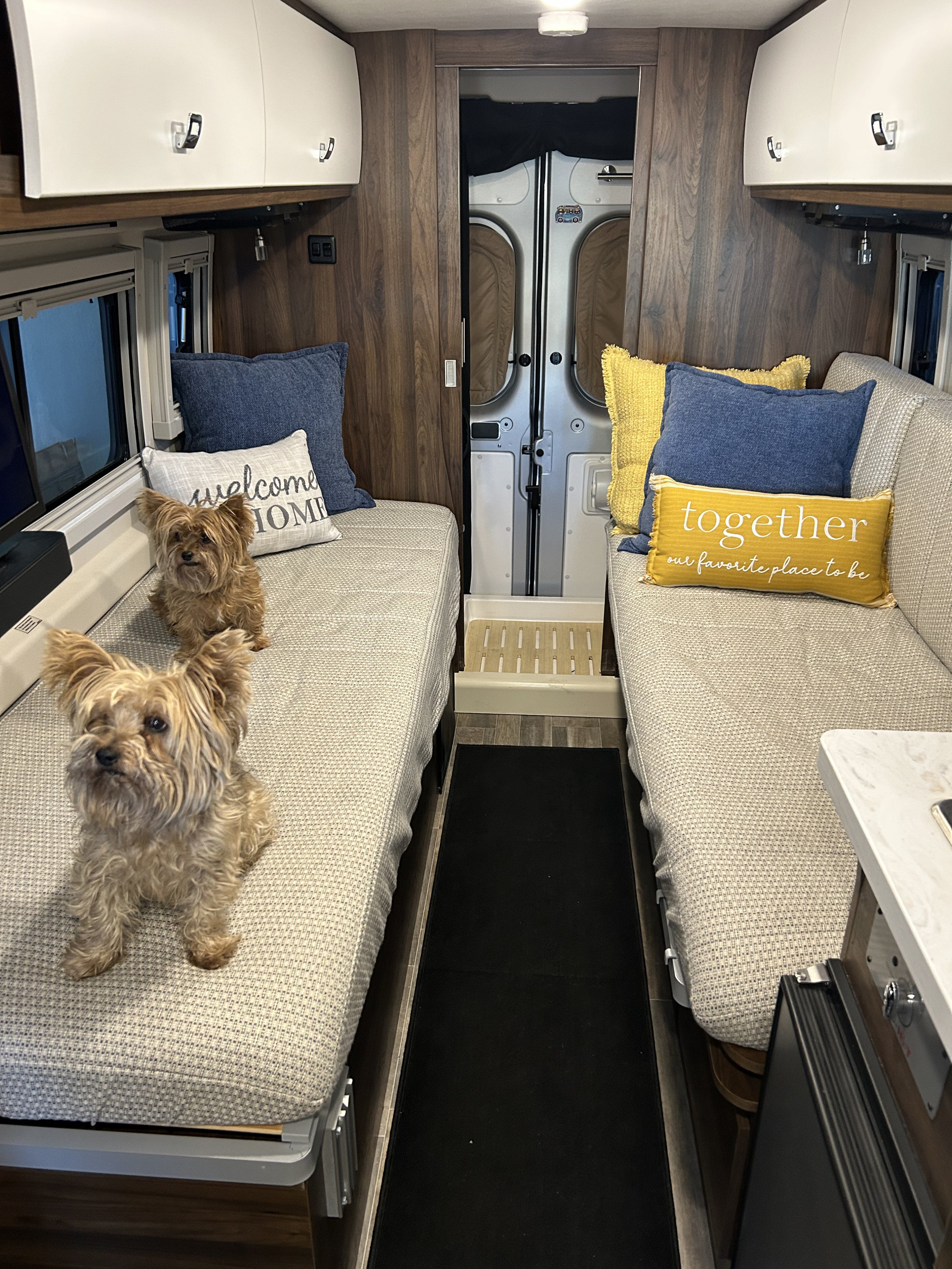 Your next RV rental adventure awaits! Two dogs enjoy comfortable twin beds in a cozy camper van interior.. Winnebago Travato 2025
