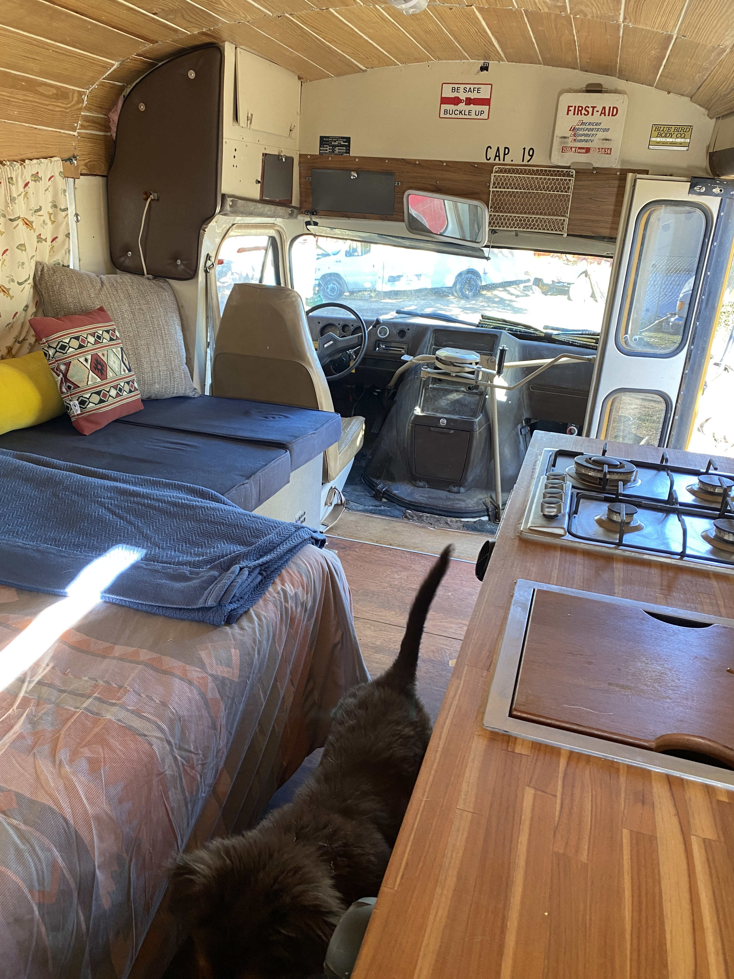 Cozy RV rental interior with a bed, kitchenette, and driver's cab. A pet adds charm to this converted camper.. GMC Vandura 1986