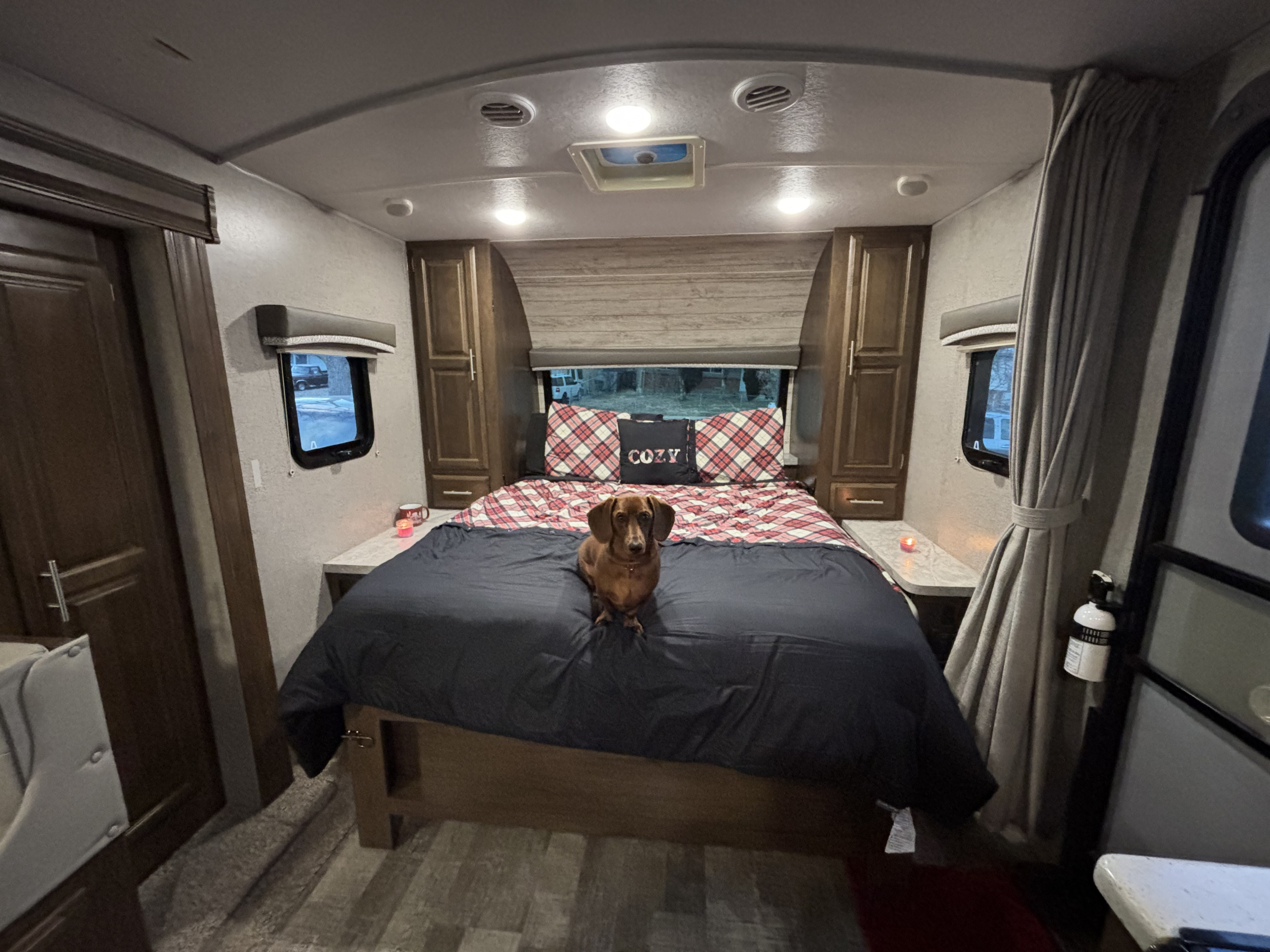 Experience a cozy RV rental bedroom, featuring a dachshund on the bed, plaid bedding, windows, and built-in storage.. Forest River Rockwood Mini Lite 2019