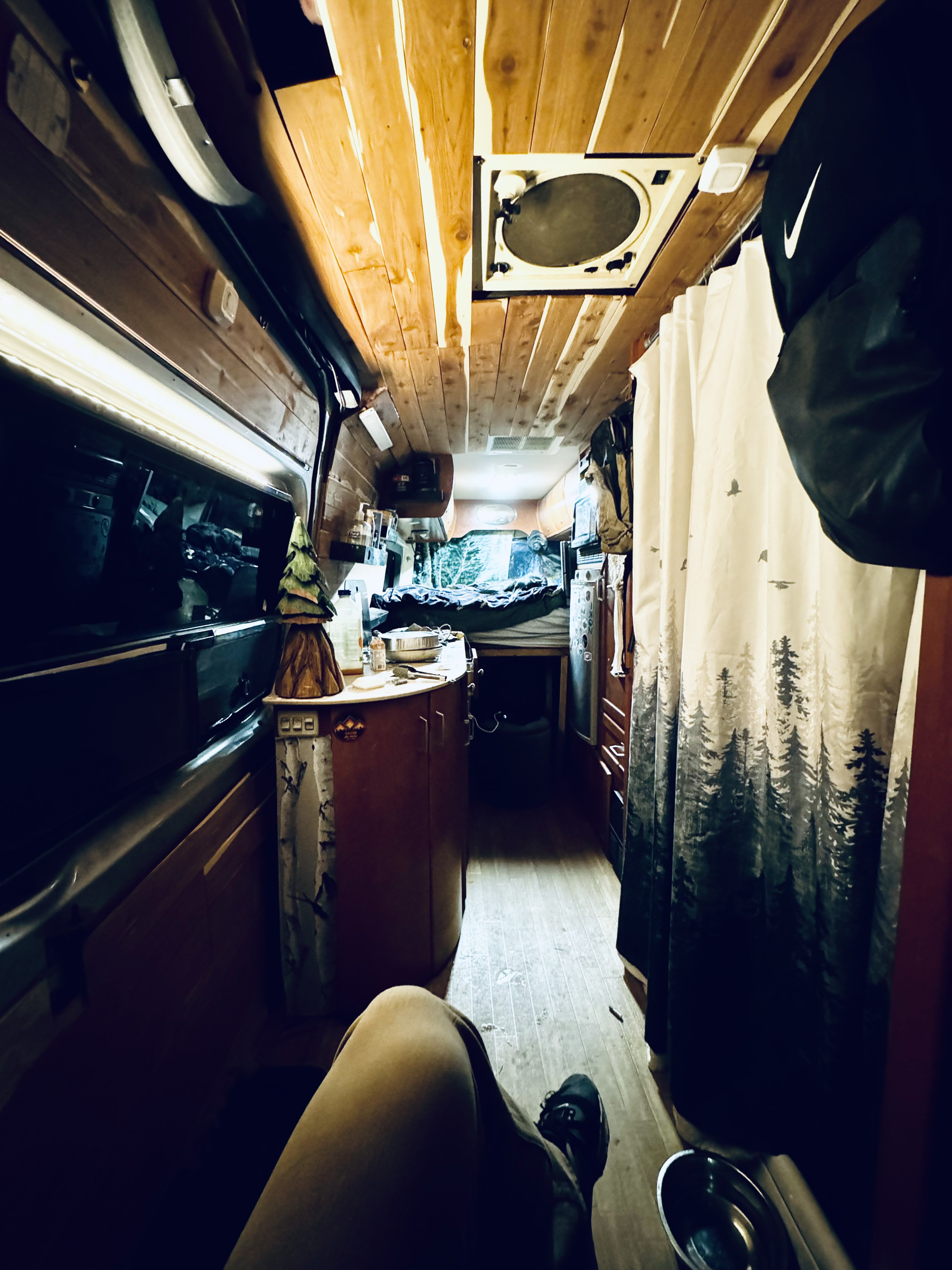 Inside a cozy **rv rental**: wood-paneled walls, bed, tiny counter, and tree-themed shower curtain for van life adventures.. Mercedes-Benz Sprinter RV Motorhome Campervan 2008