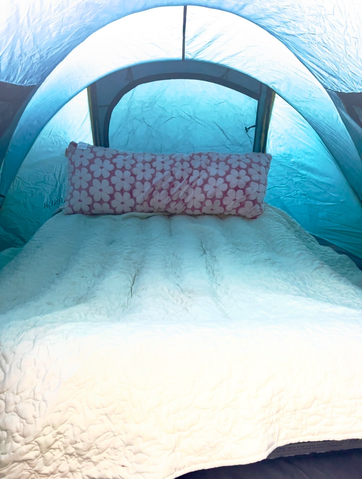 Cozy sleeping space inside an RV rental: A soft white bed with a pink floral pillow in a brightly lit blue interior.. Ford Custom Transit 2016