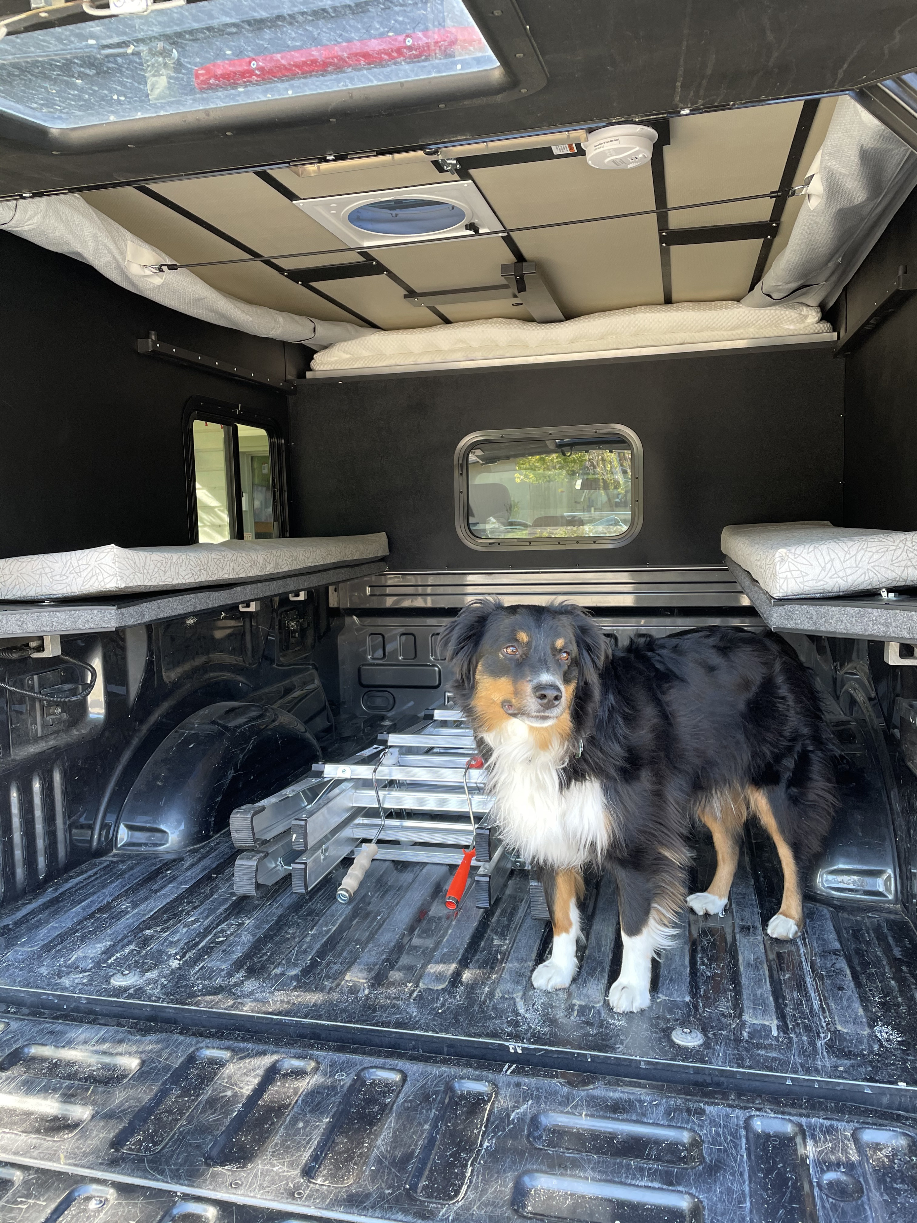 An Australian Shepherd poses inside a comfortable truck camper setup, perfect as an RV rental for camping adventures.. Four Wheel Campers Shell Models 2020