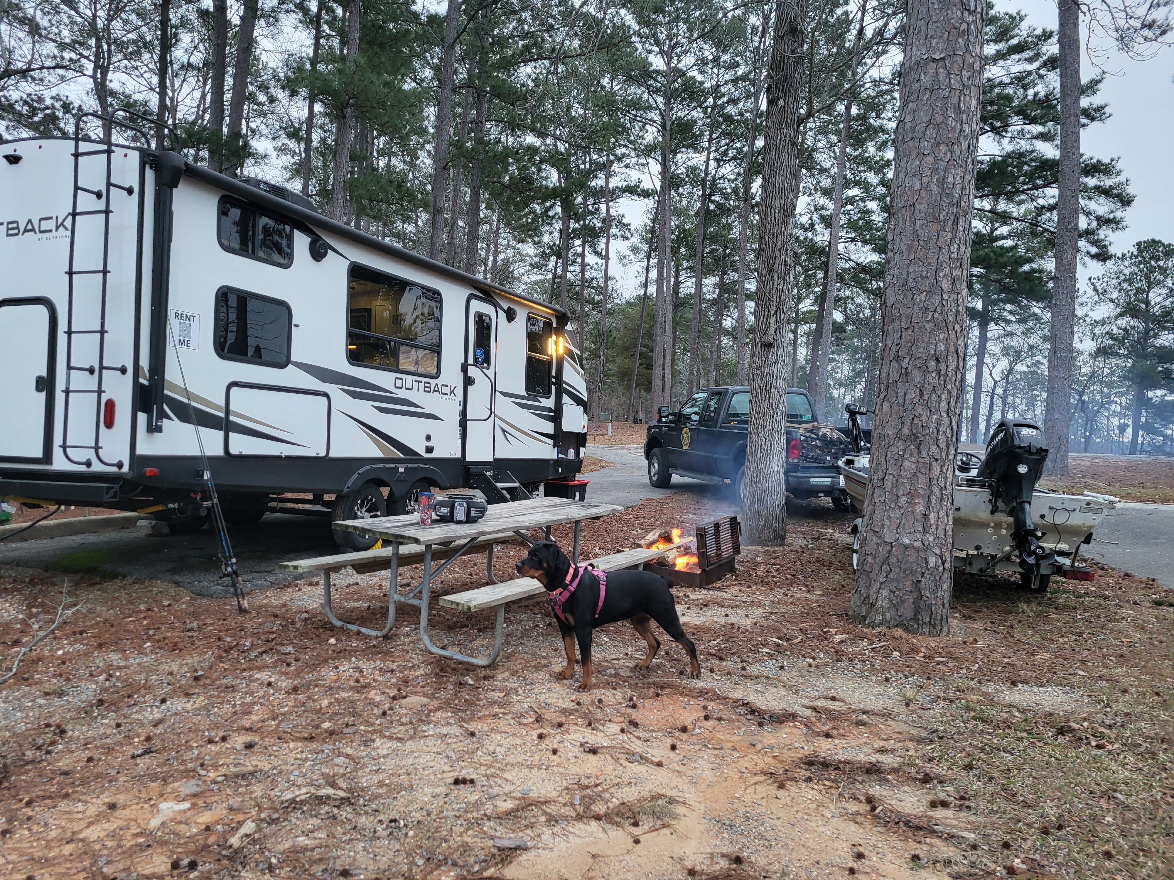 The Baby Outback