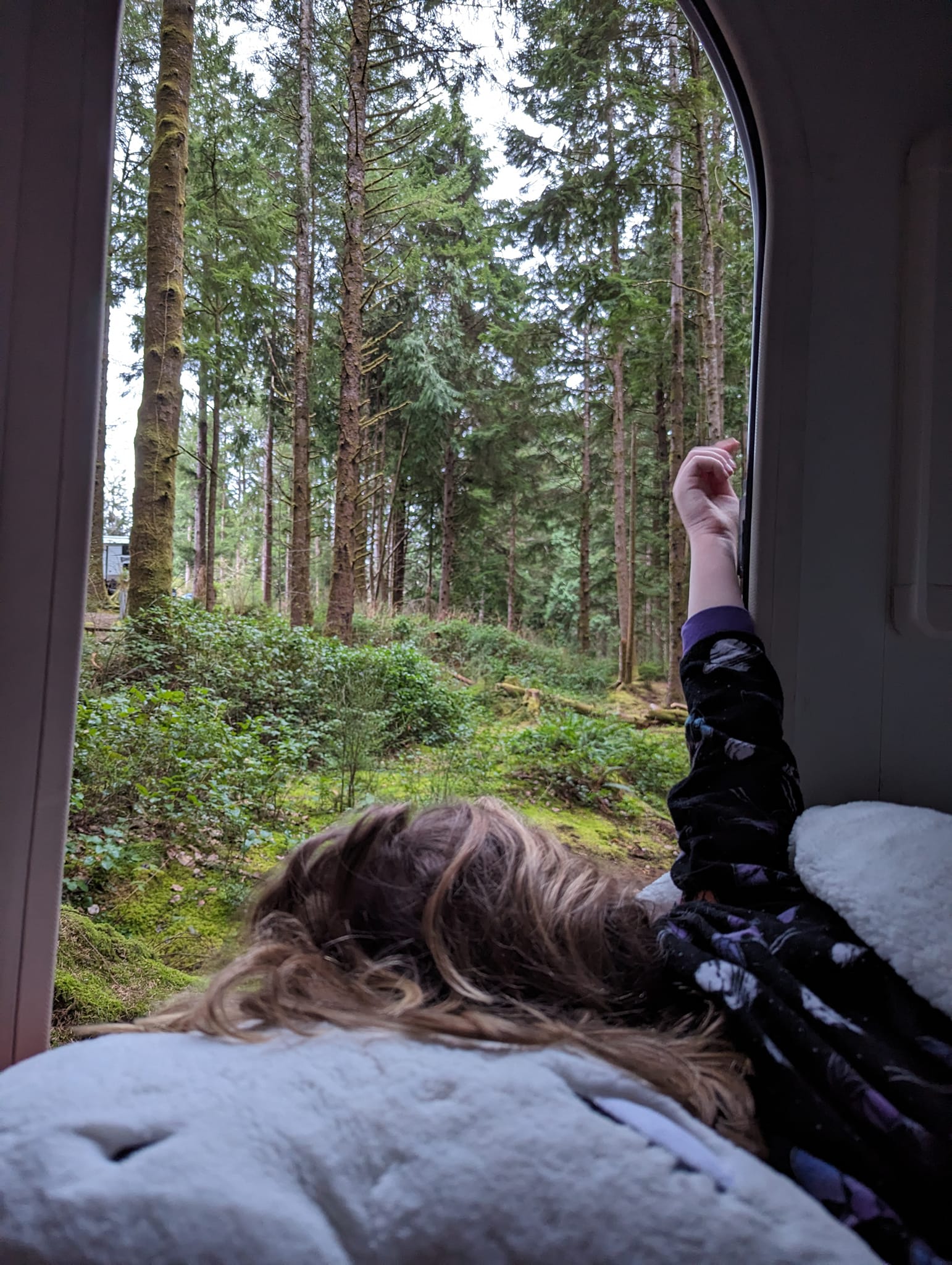 Cozy RV rental view: a person's arm reaching towards towering forest trees & lush greenery outside the window.. T@G XL 2017