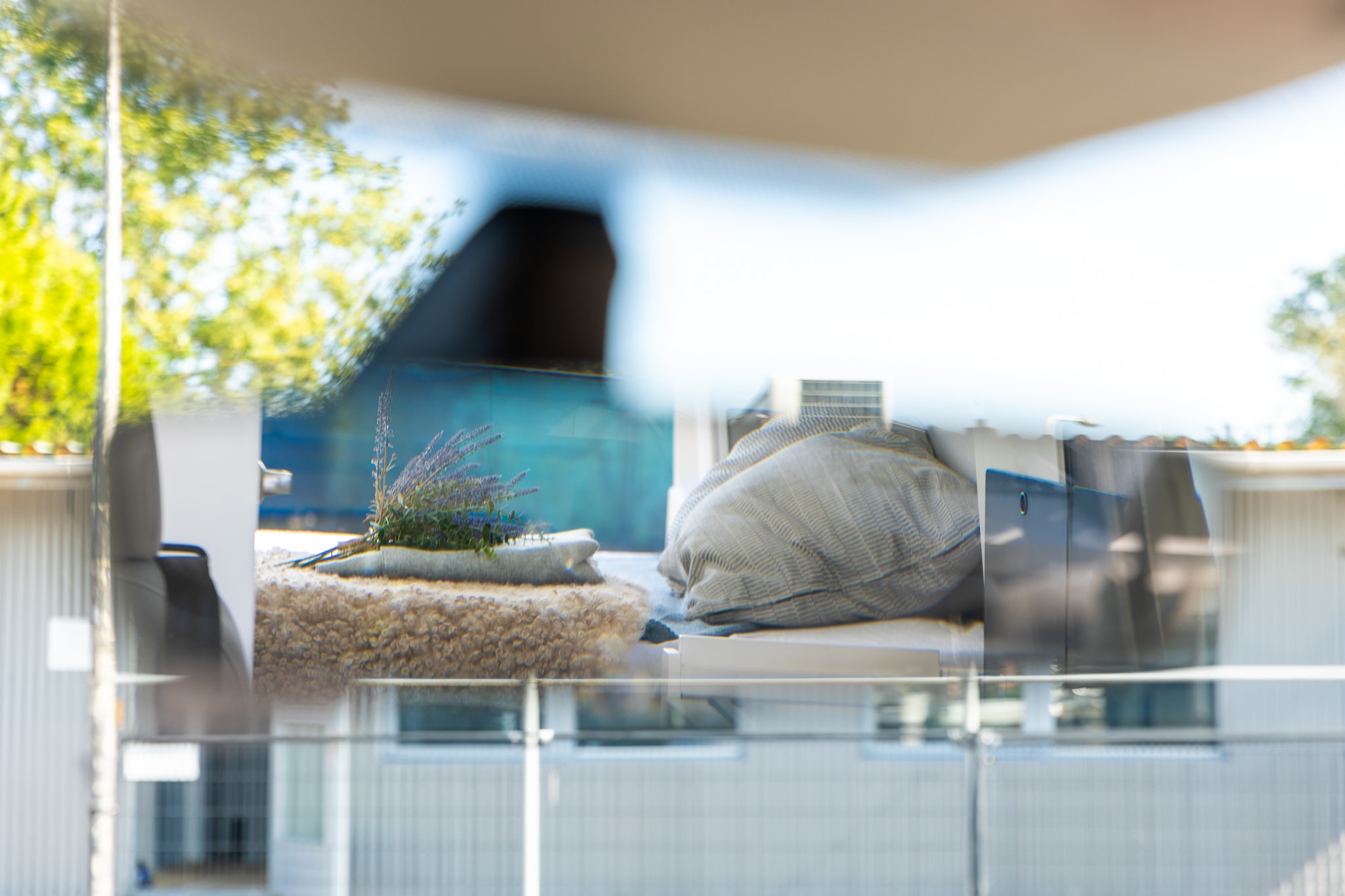 Cozy RV rental interior with striped pillow, soft throw, and flowers. Reflections show nature outside, perfect for your adventure.. Volkswagen Grand California 2023