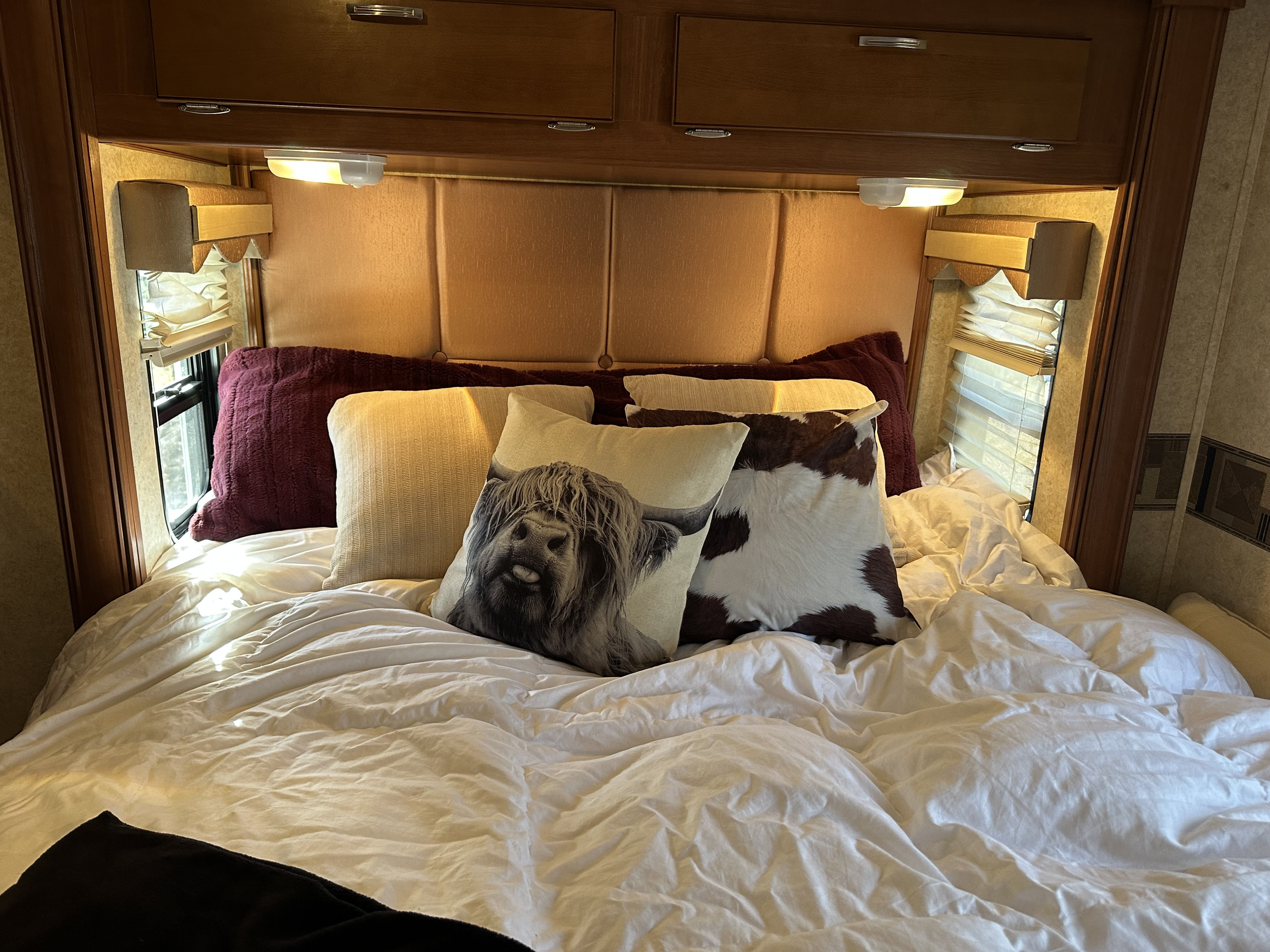 Cozy RV rental bedroom with white duvet, Highland cow & cowhide pillows, overhead cabinets, and reading lights.. Forest River Georgetown 2011
