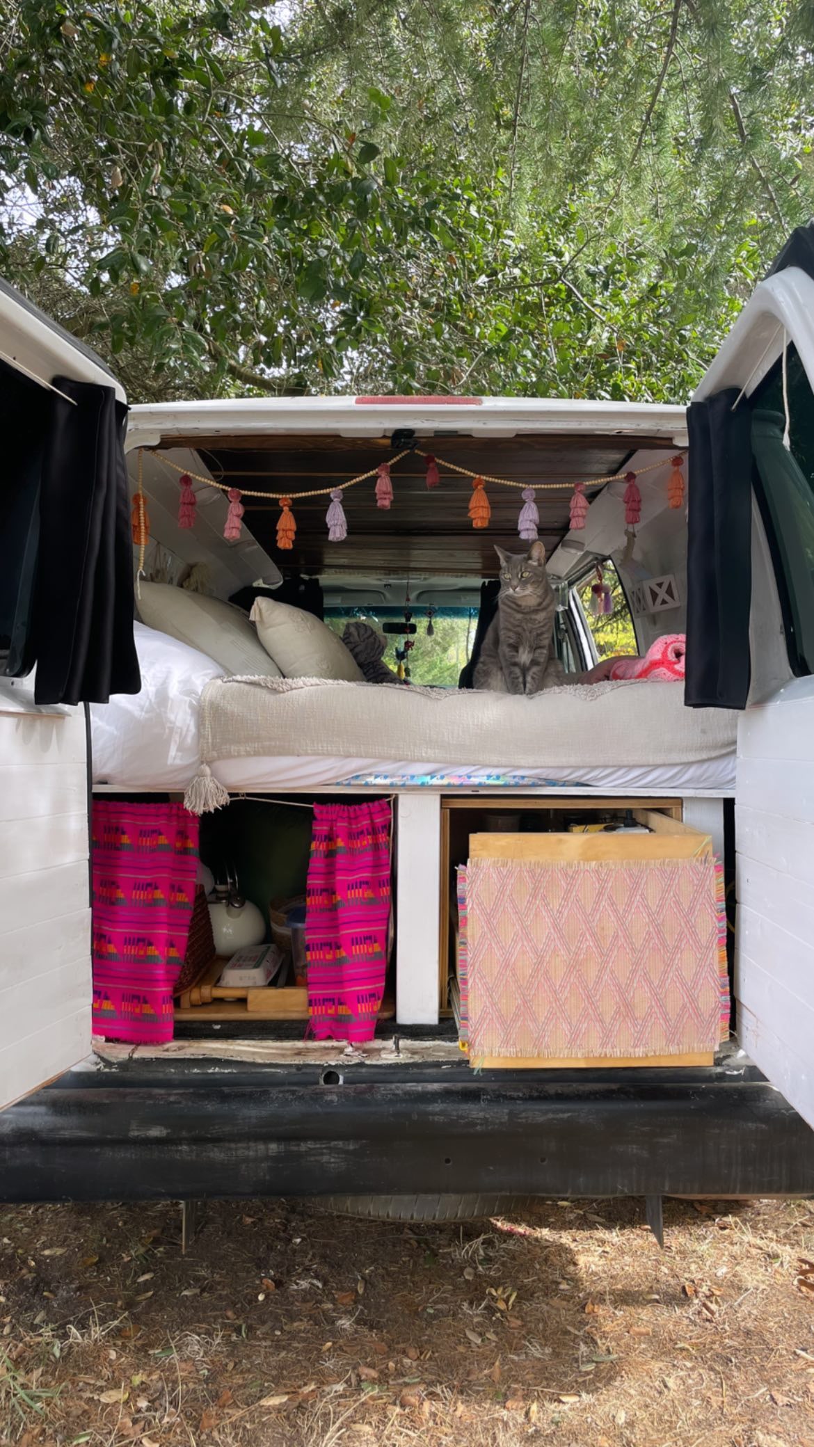 Pet-friendly RV rental offers a comfy bed for you and your cat, plus smart storage for van travels.. Ford Econoline 150 2011