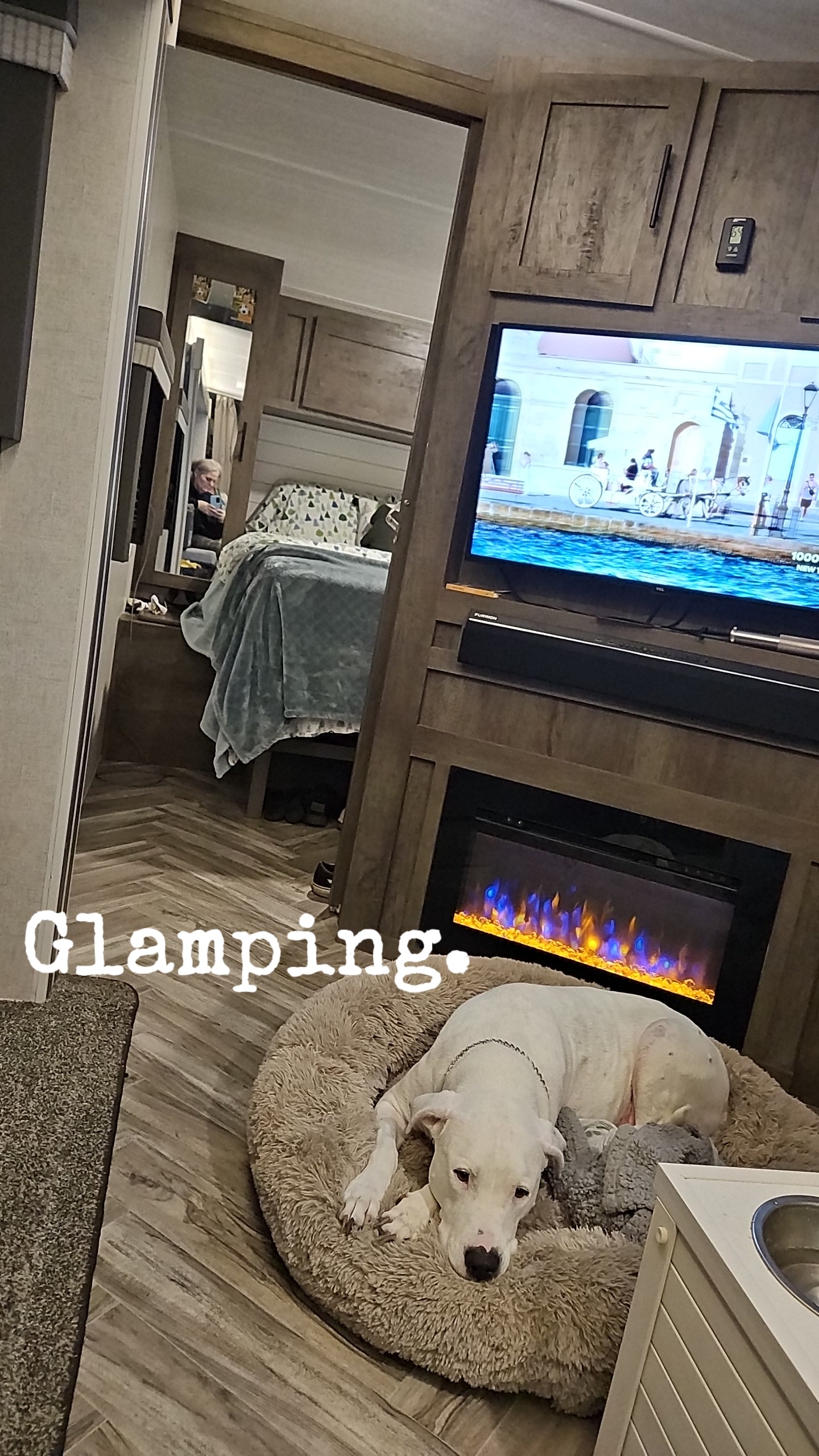 Glamping in an RV rental: a comfy dog on its bed, an electric fireplace, and a TV for ultimate relaxation.. Forest River Salem 2021