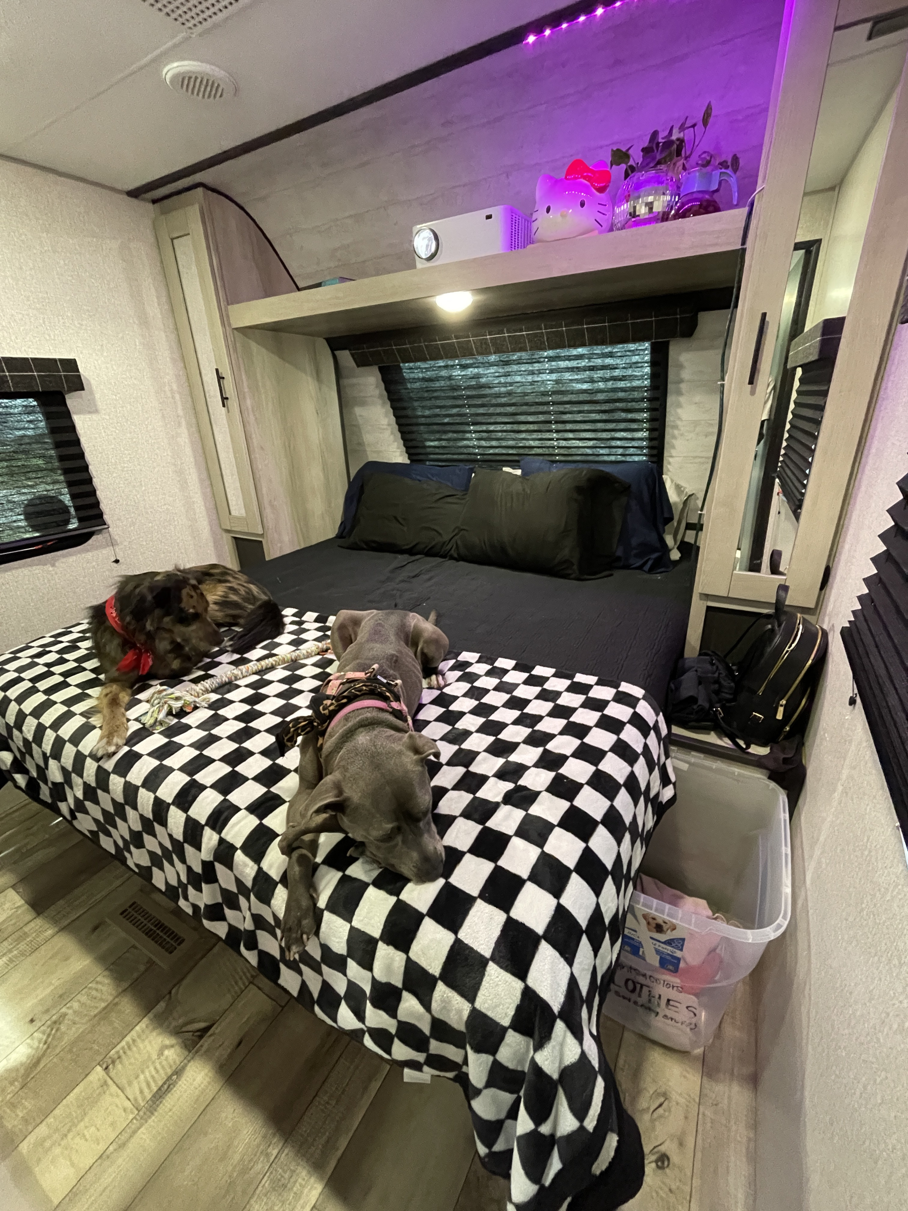 Inside a comfortable RV rental: two dogs relaxing on a checkered bed, with a projector and Hello Kitty decor. A cozy camper bedroom!. K-Z Manufacturing Other 2022