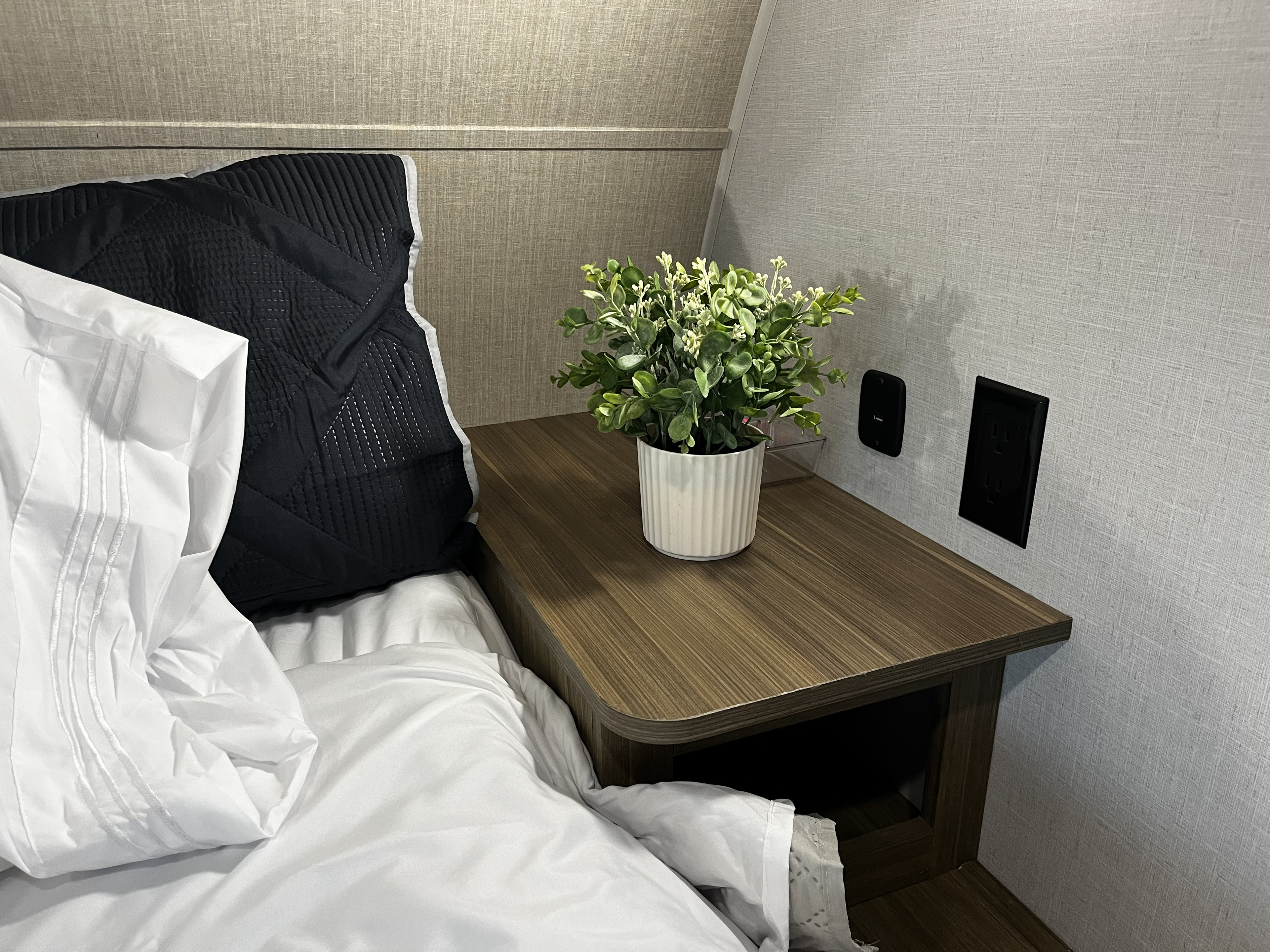 RV rental bedroom featuring a comfy bed, nightstand with faux plant, and convenient power outlets.. Salem Cruise Lite 26ICE 2025