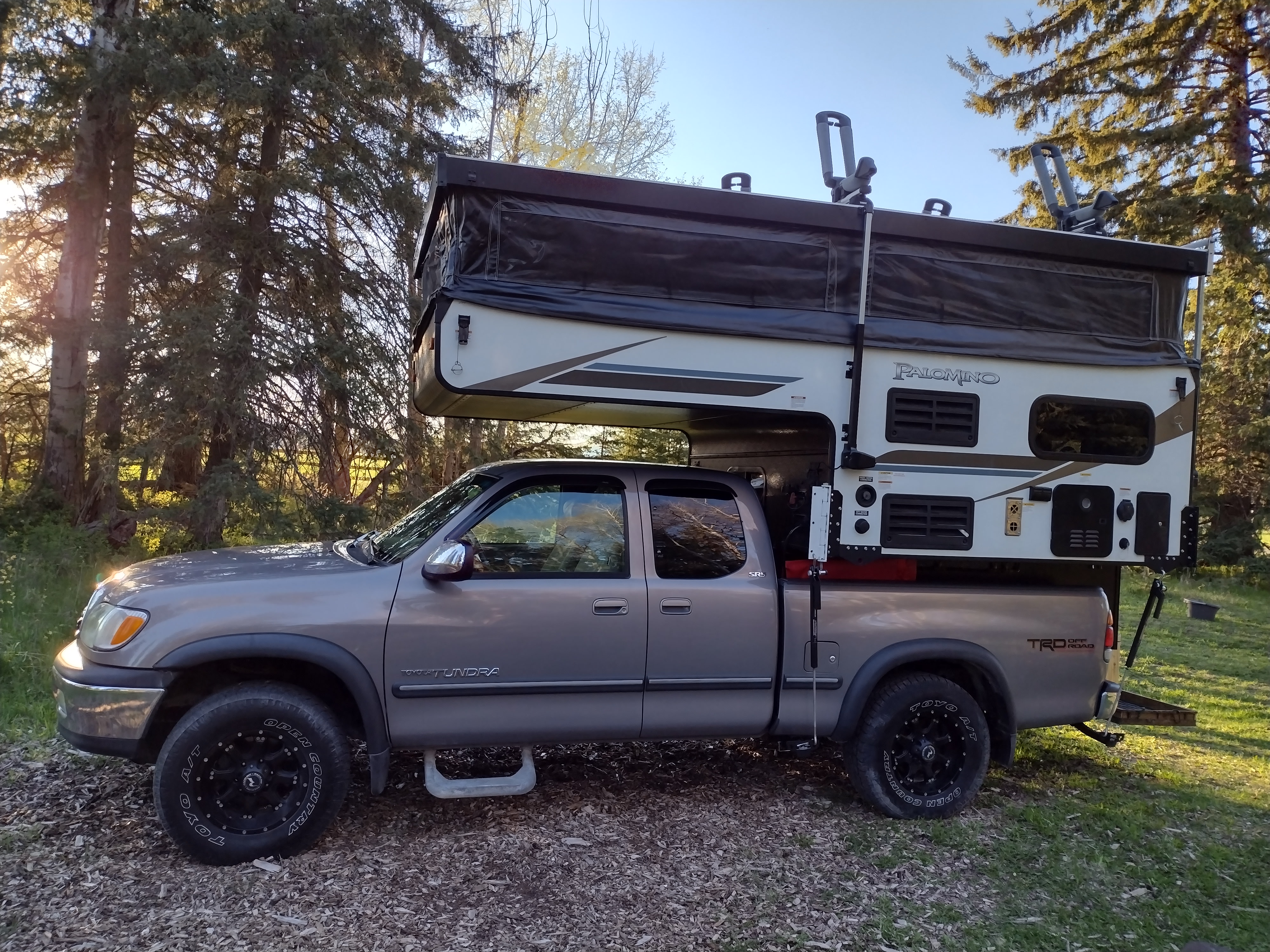 Pack-n-Play Palomino