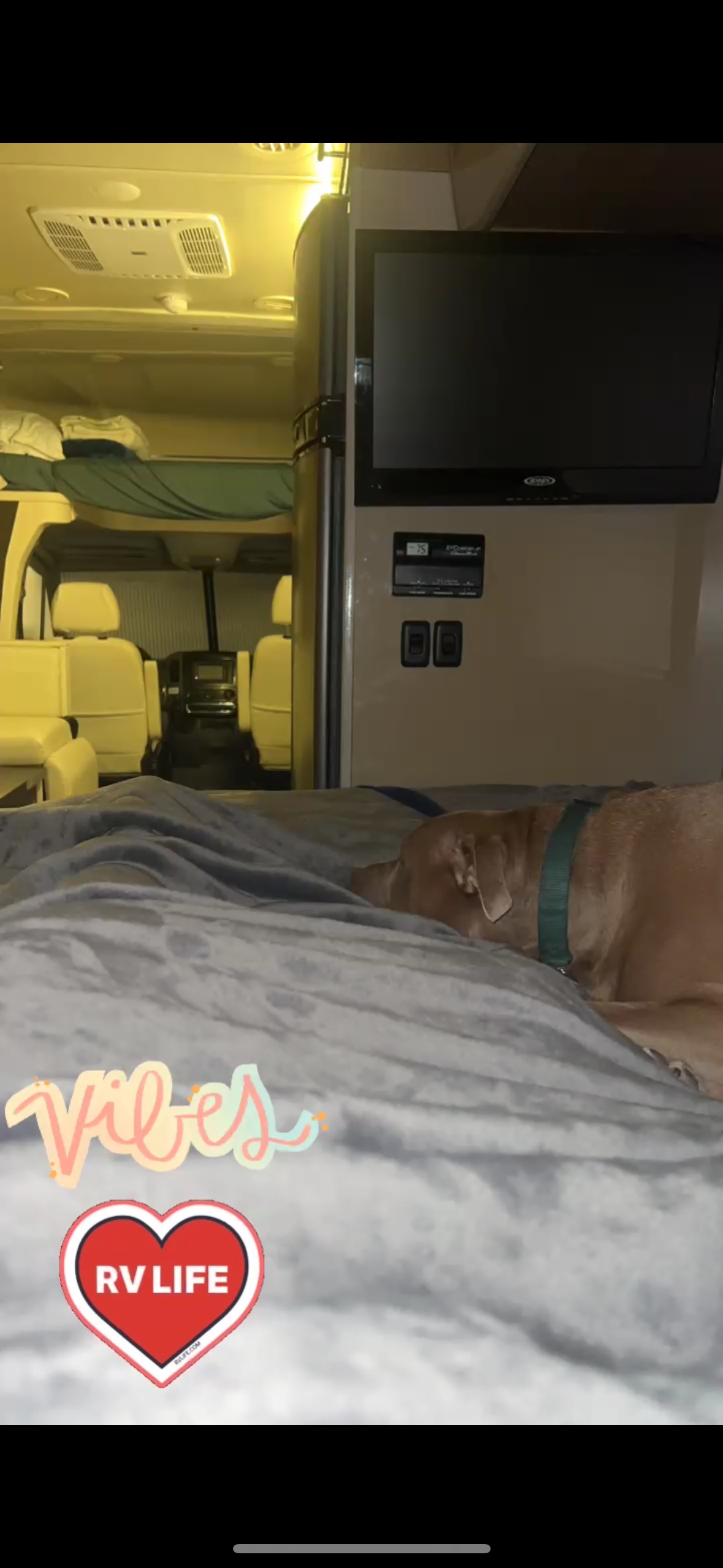 Cozy RV rental interior with a sleeping dog on a bed. Features include a TV and bunk. Enjoy the #RVLIFE vibes!. Winnebago View 2016