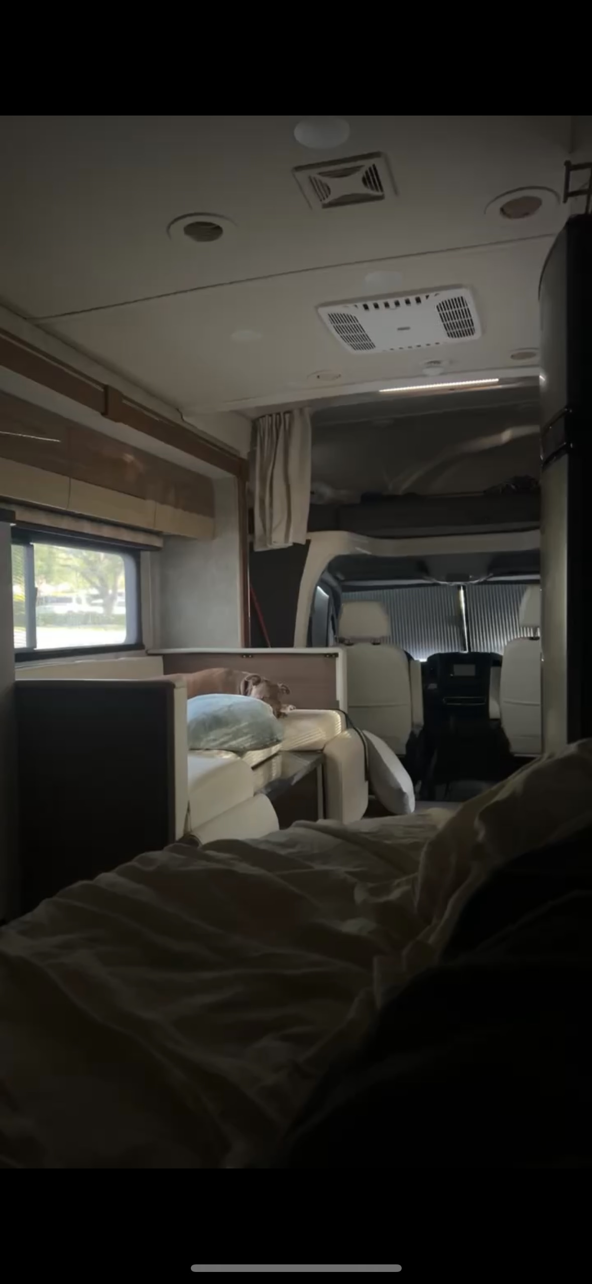 Spacious RV rental interior features a dog lounging on a cream cushion, seen from the main bed.. Winnebago View 2016