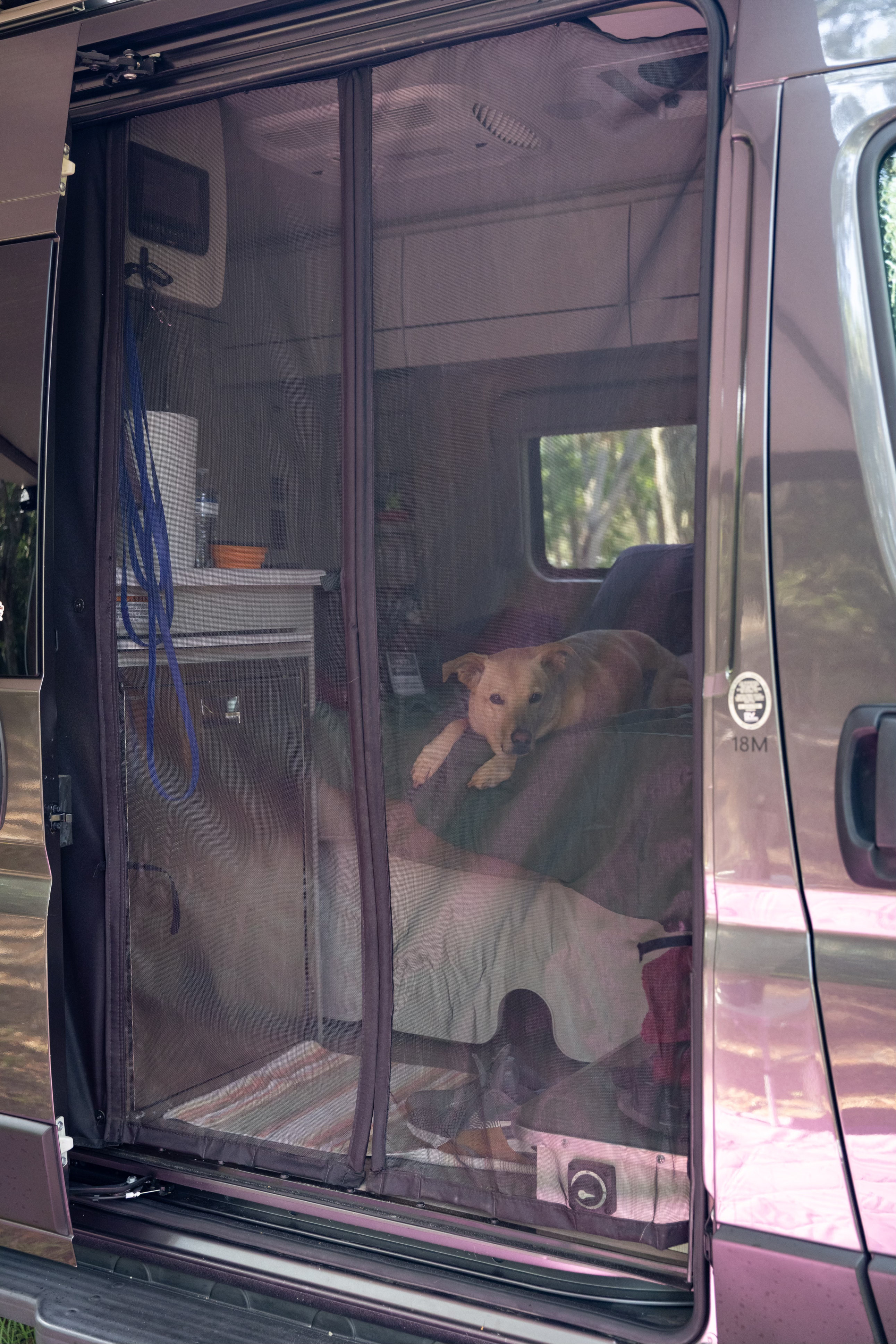 Cozy RV rental interior with a relaxed dog on the bed, seen through a magnetic screen door. Ideal for van life camping.. Thor Rize 2023