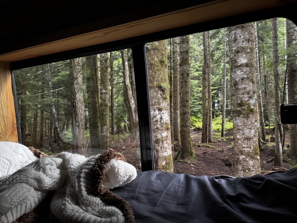 Experience an RV rental. Cozy bed and blankets by a large window with a dense, mossy forest view outside.. Mercedes Sprinter 2011