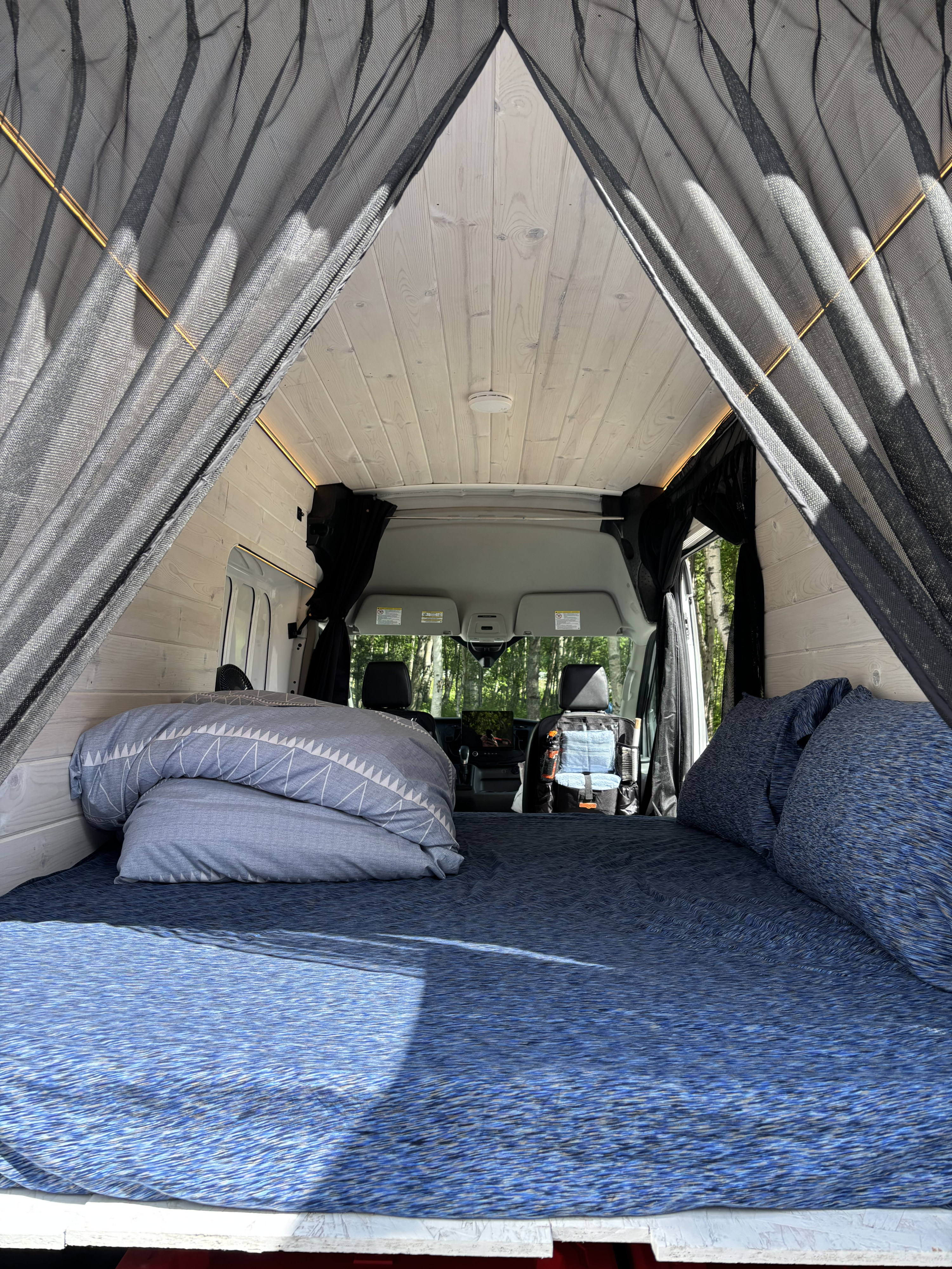 Relaxing rv rental interior: blue bed, wood walls, and mesh bug screen, looking toward the cockpit.. Ford Transit 2022