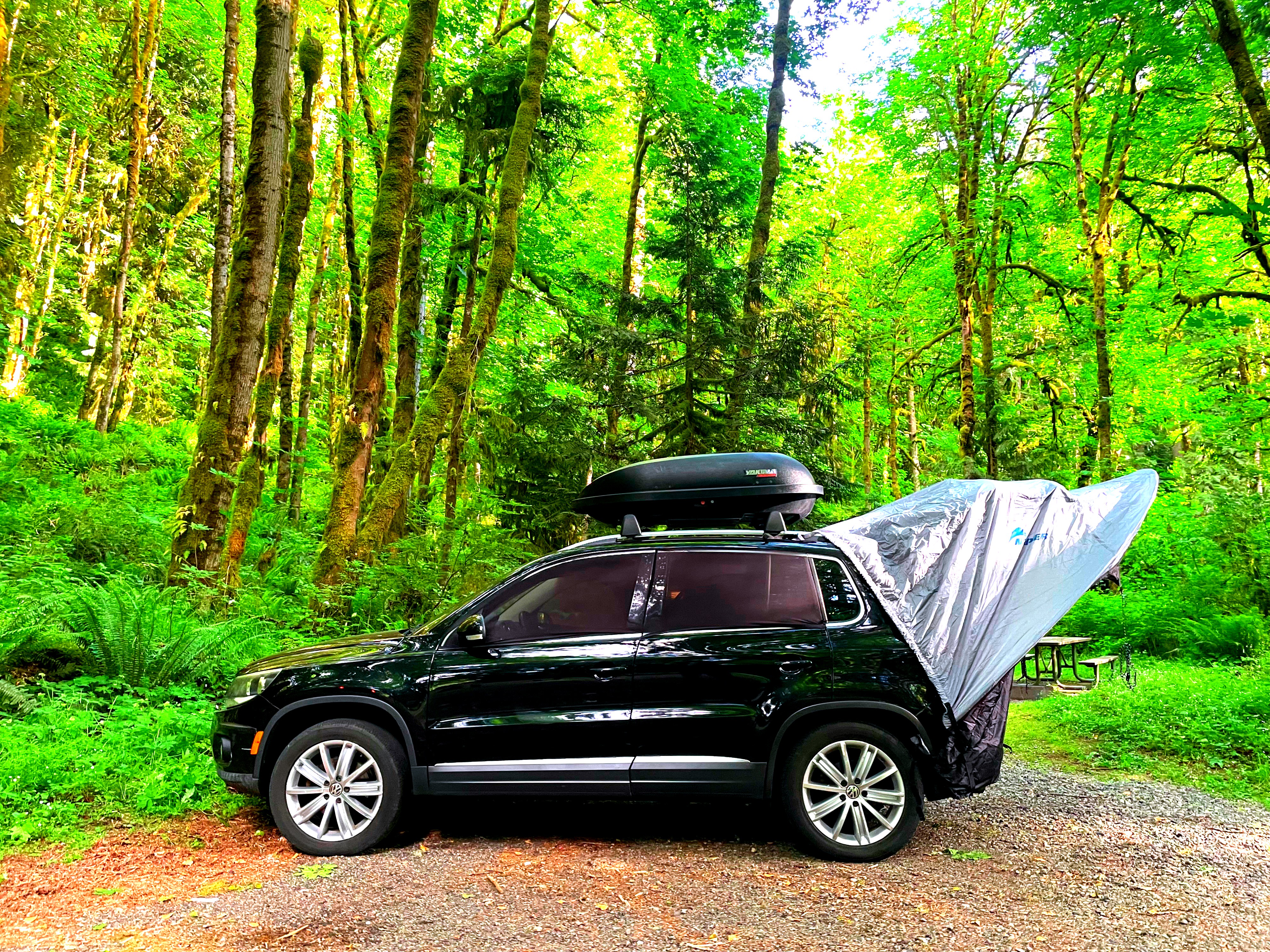 AWD Car Glamping Experience | Adventure-Ready VW  | Hosts 2-4