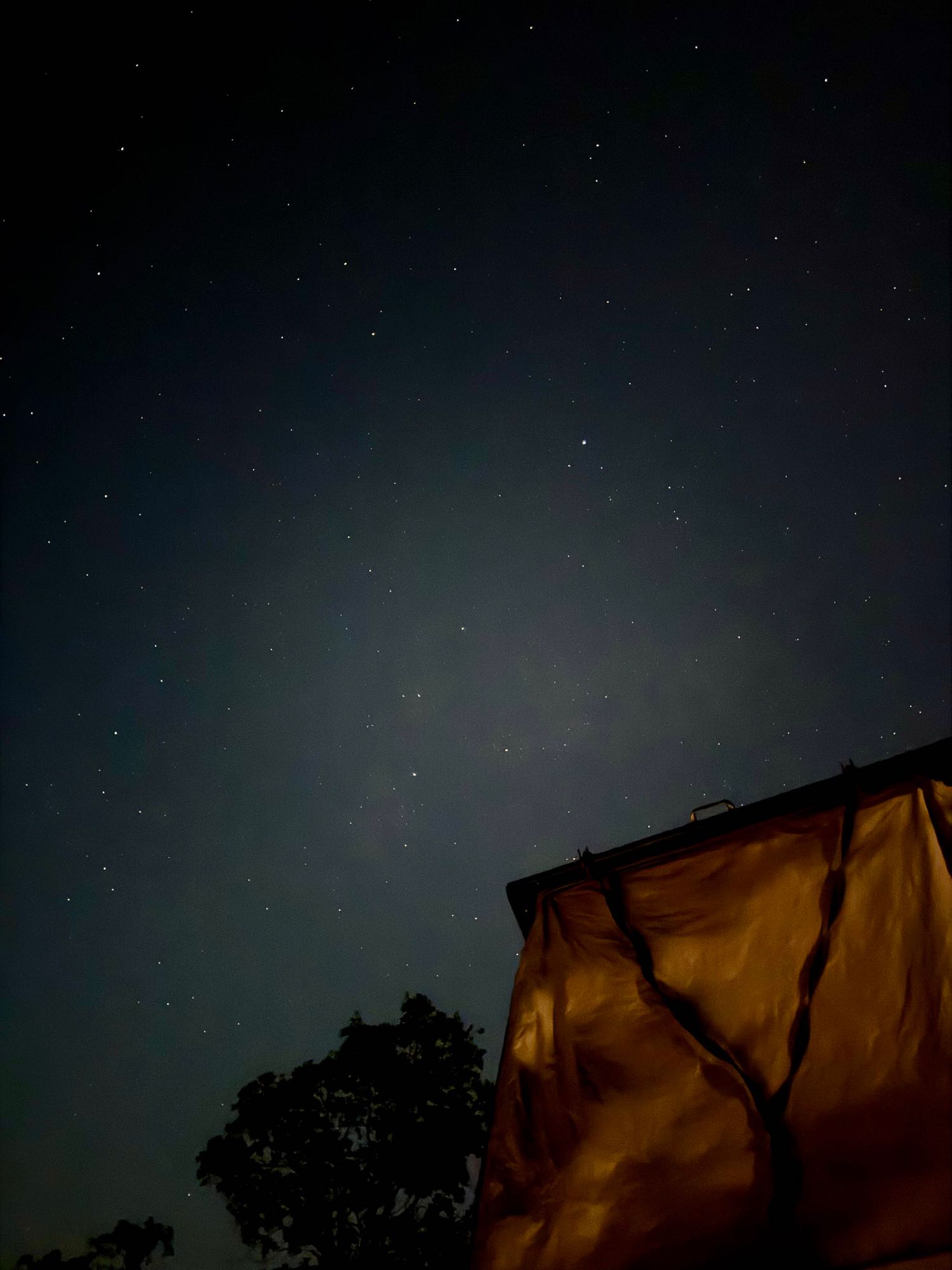 Photo by Isobel Arthur