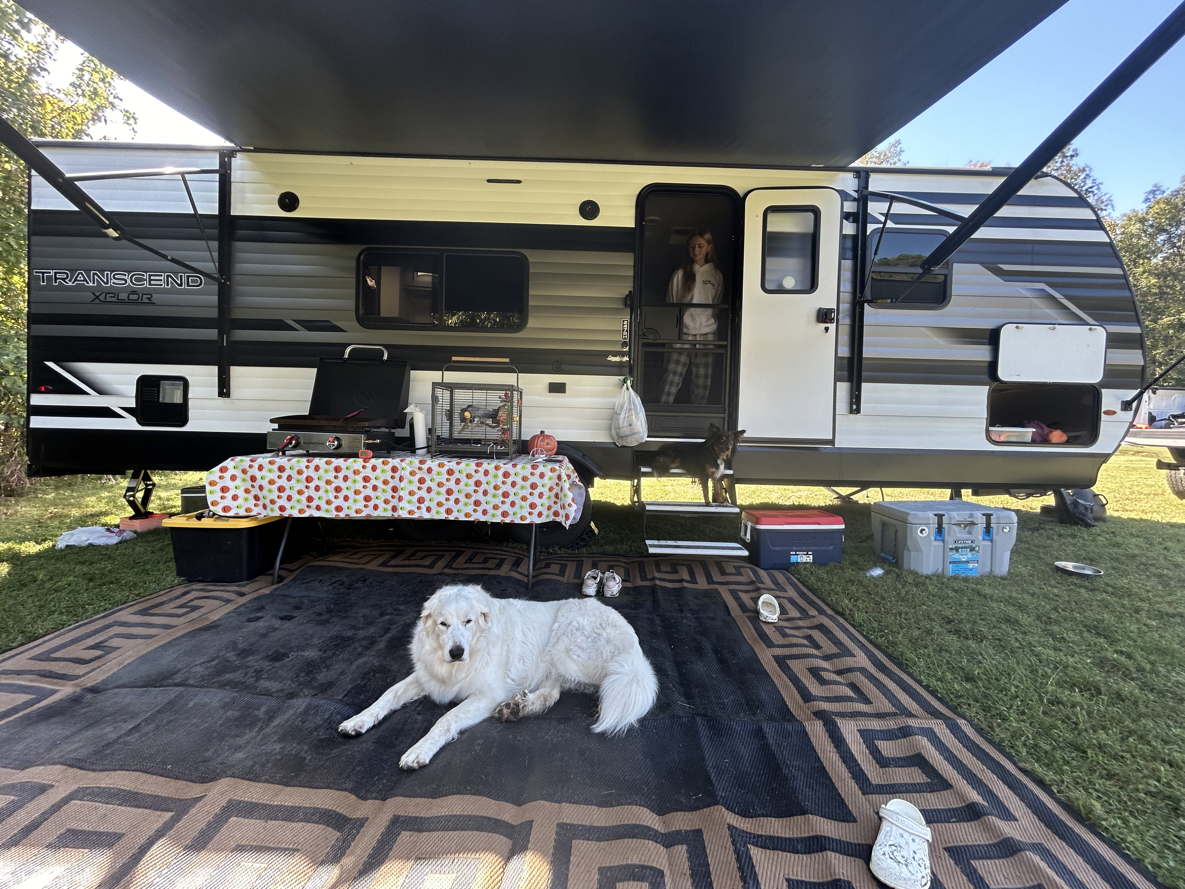 Owner Banner