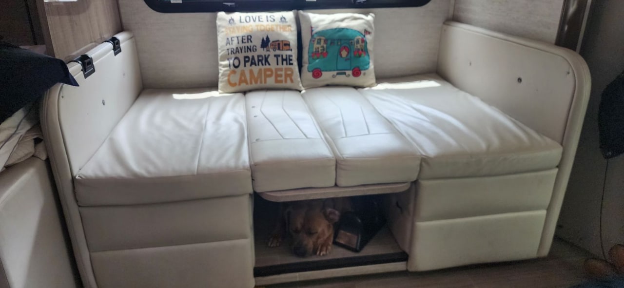 Cozy RV rental interior features a white convertible couch/bed. A dog naps in the under-bench cubby. Pet-friendly camper travel.. Jayco Melbourne Prestige 2022