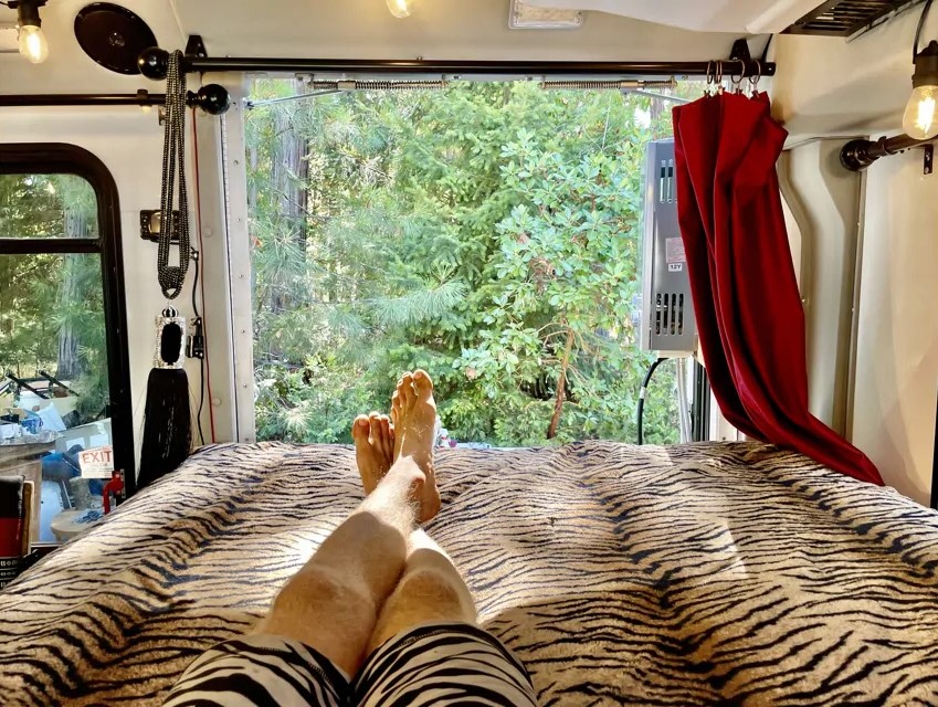Relaxing in a cozy RV rental. Legs up on a tiger print bed with a serene forest view. Perfect for your next adventure.. Chevrolet Express 3500 2015