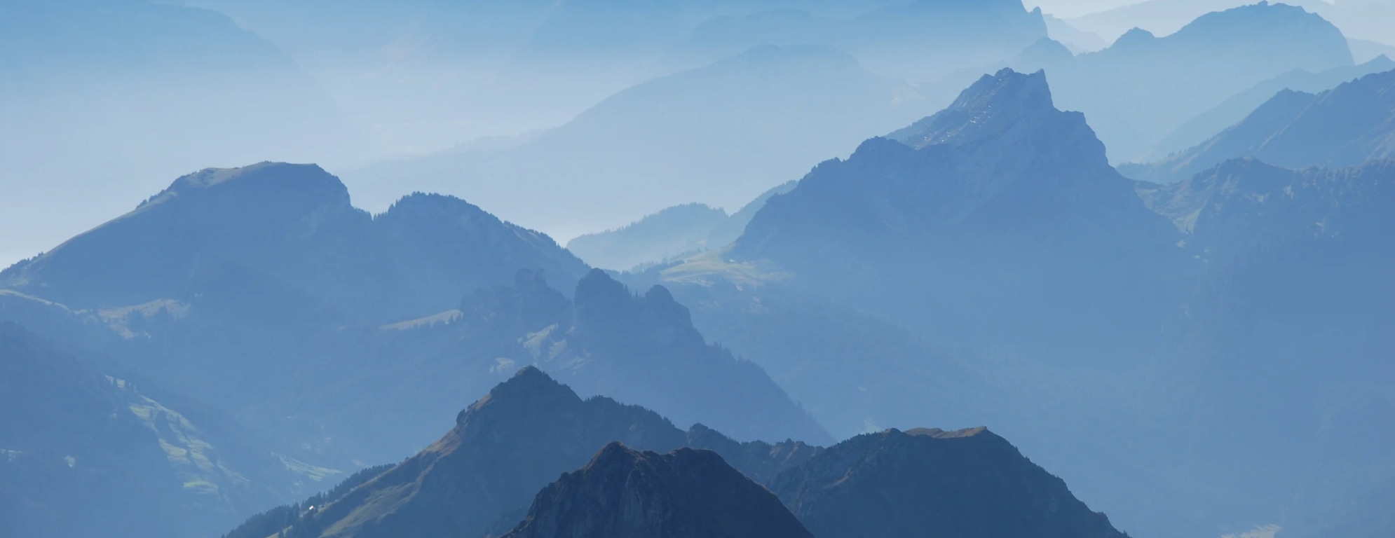 Owner Banner