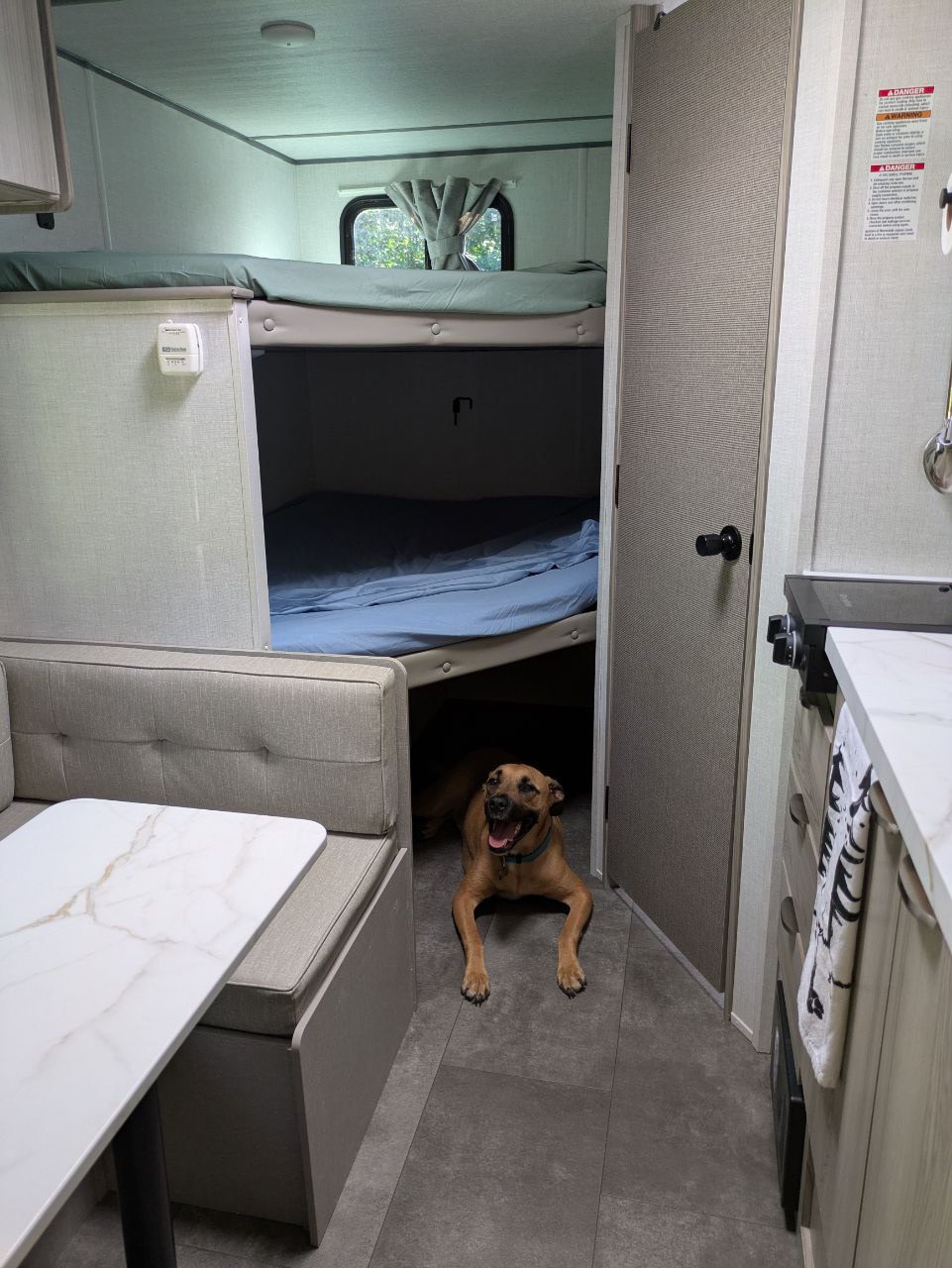 Cozy RV rental interior shows a happy dog on the floor, next to bunk beds, a dinette, and a kitchen area.. ATC Wildwood 2025