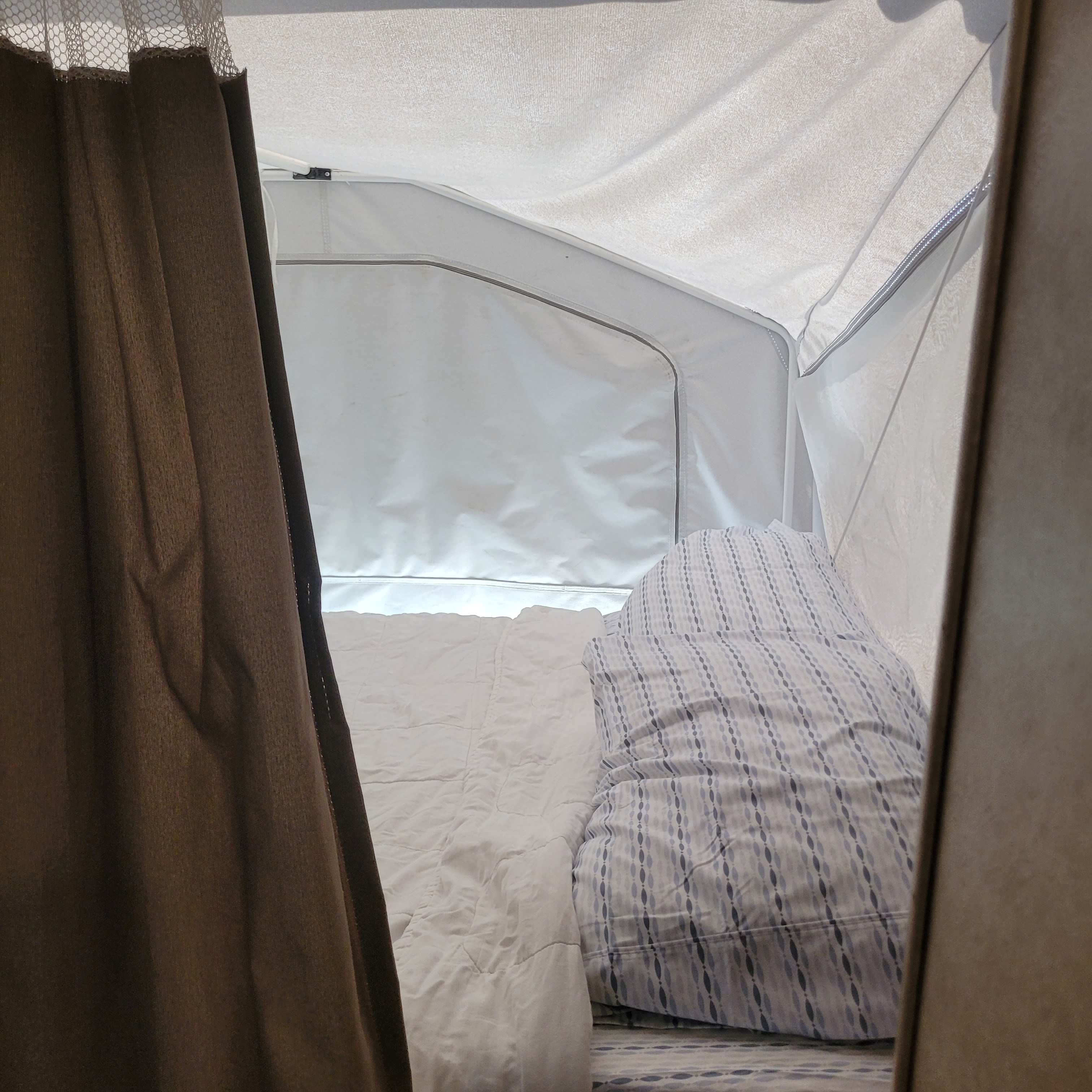 Inside an RV rental pop-up camper: a cozy bed with patterned pillow & white comforter, framed by brown curtains.. Forest River Rockwood Roo 2011