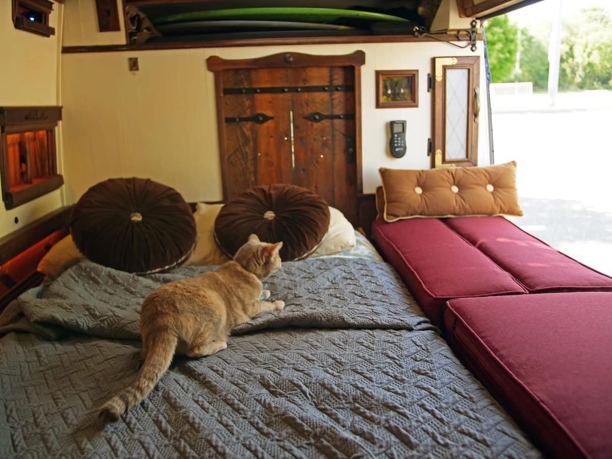 Inside a pet-friendly RV rental: a ginger cat on a cozy bed, custom wood decor, and open back for views. Ideal for van life.. Dodge Ram Promaster 3500 2023