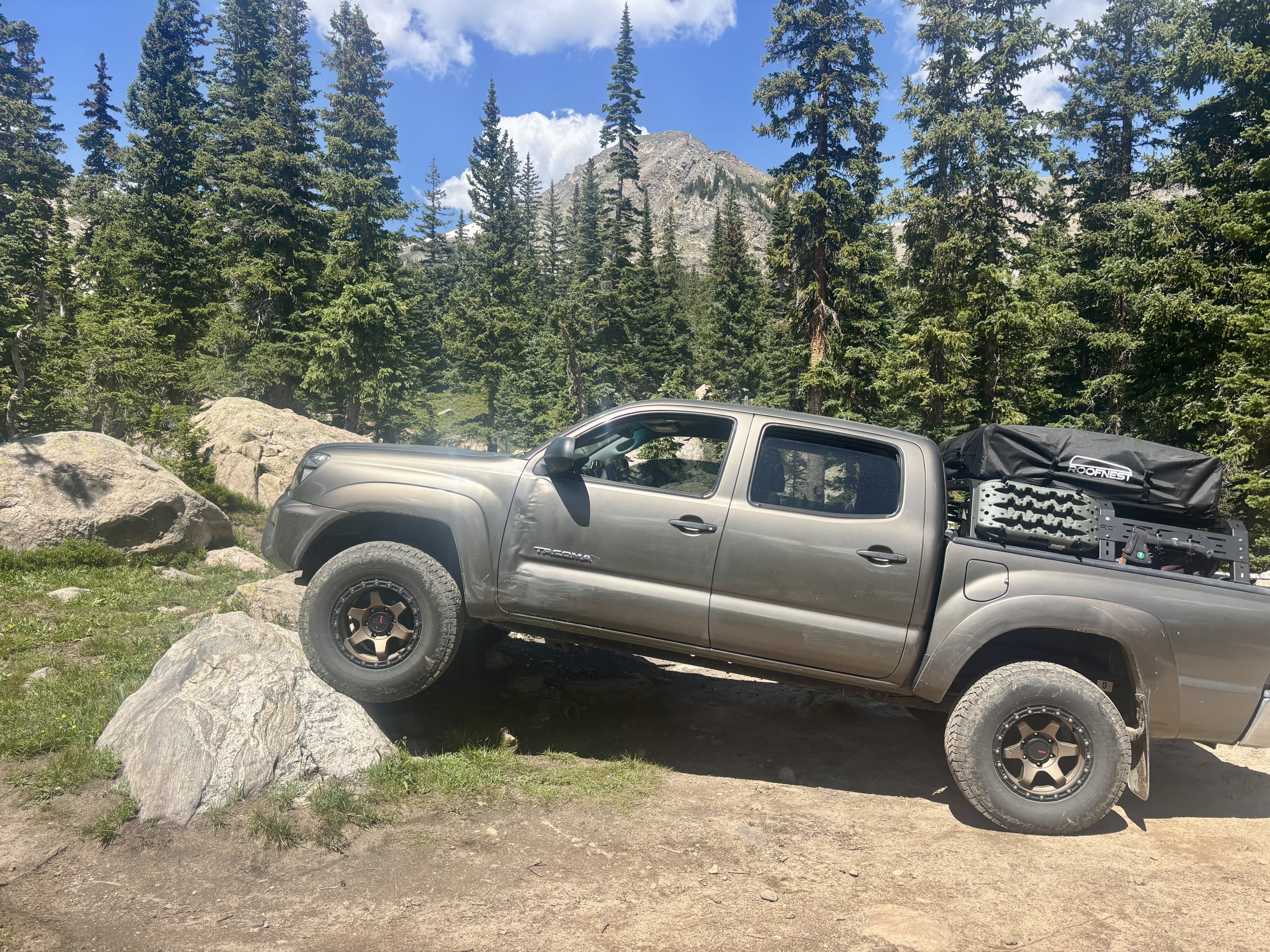 Owner Banner