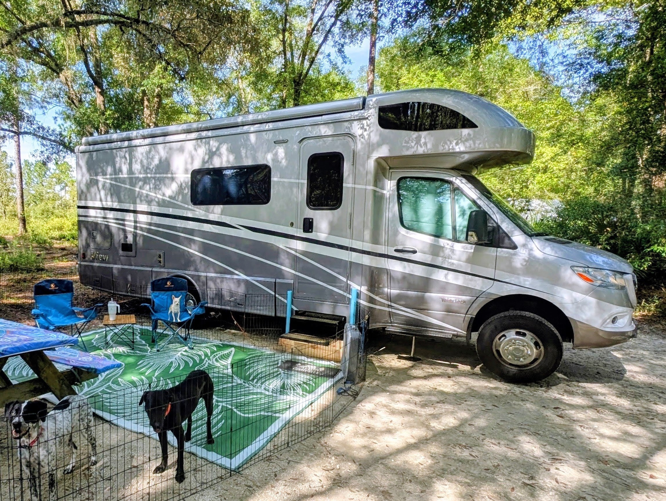 Escape Ordinary — Ride with Frolicking Flamingos RV!