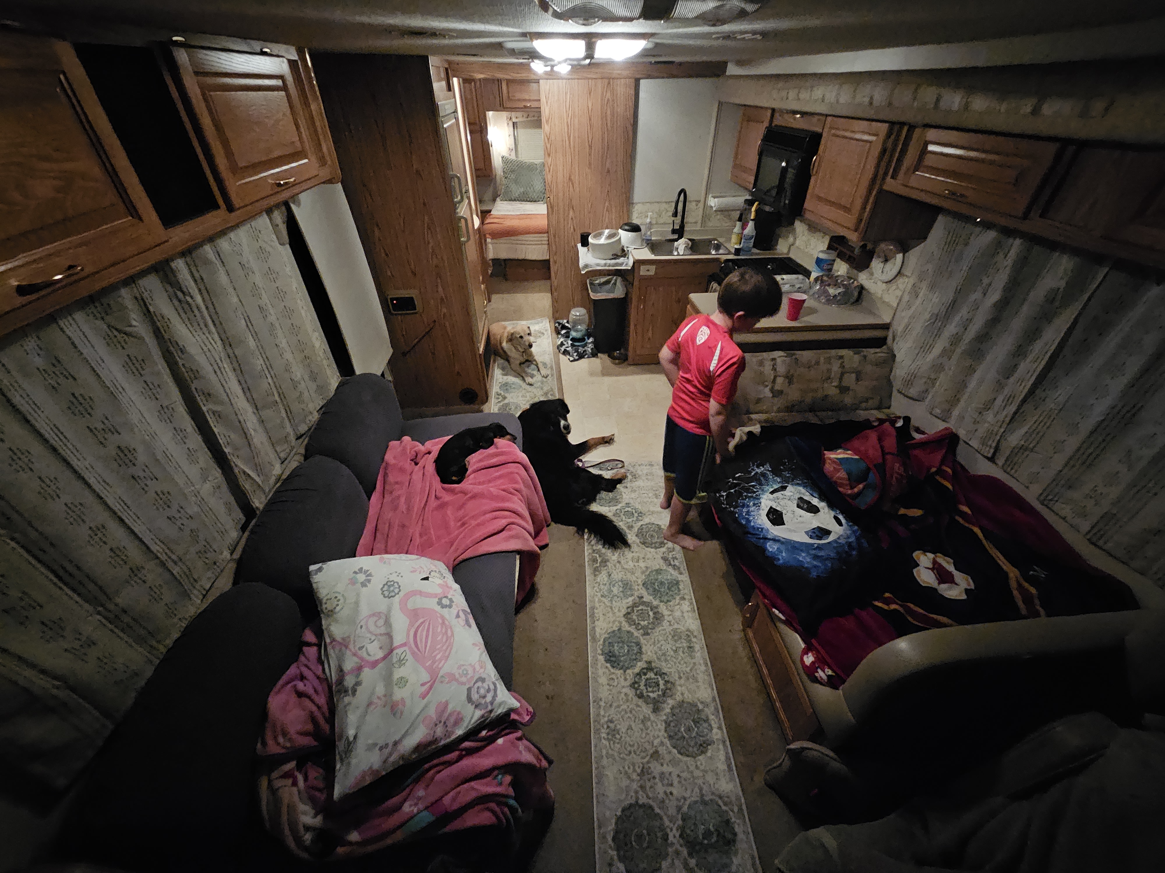 Inside an RV rental: a child plays while multiple dogs relax in the cozy living area with a kitchen and bedroom beyond.. Sea Breeze SB300 2002