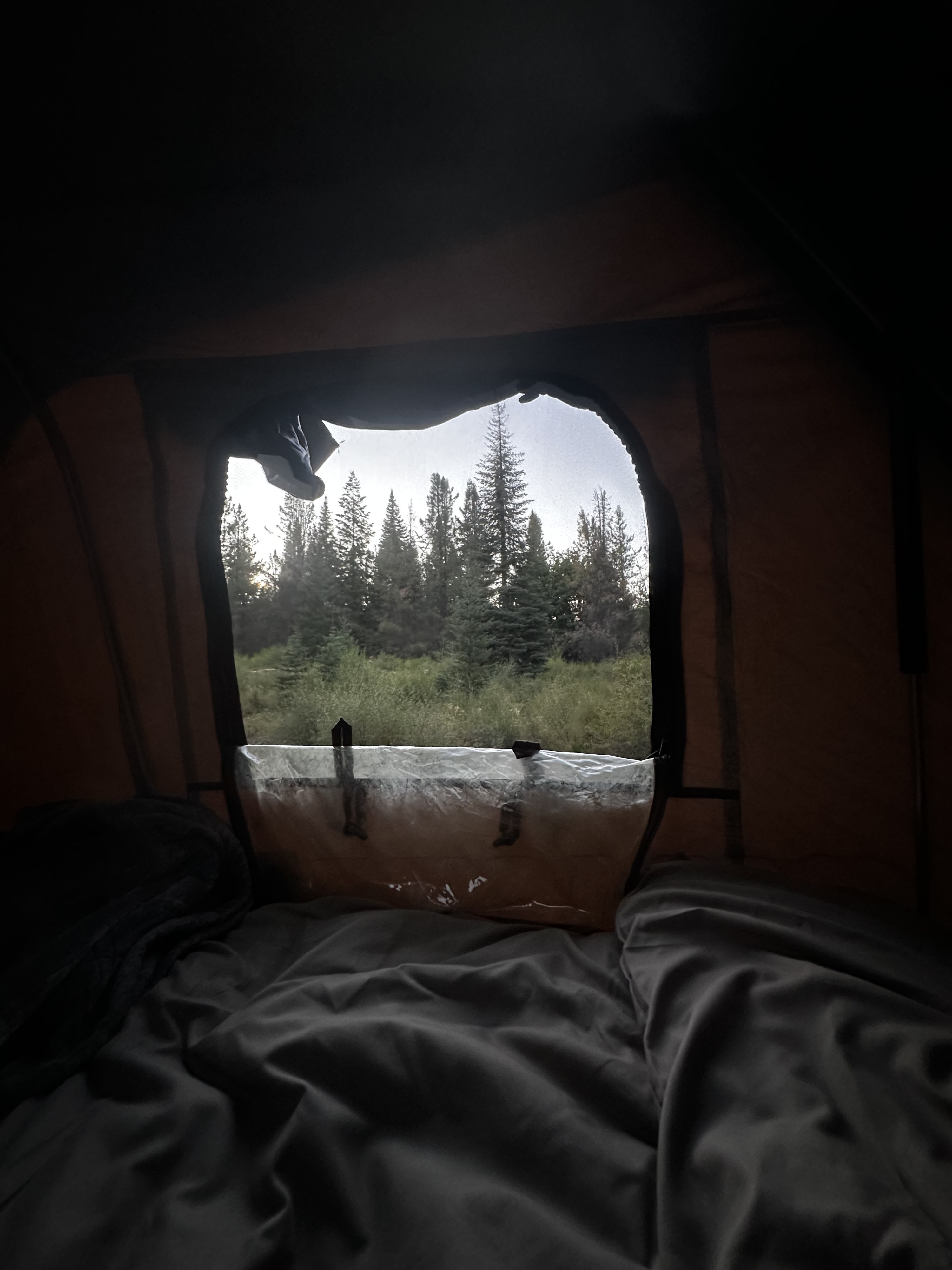 Cozy RV rental view from bed: waking up to a forest sunrise. Enjoy nature's beauty and comfortable camping.. Toyota FJ Cruiser 2007