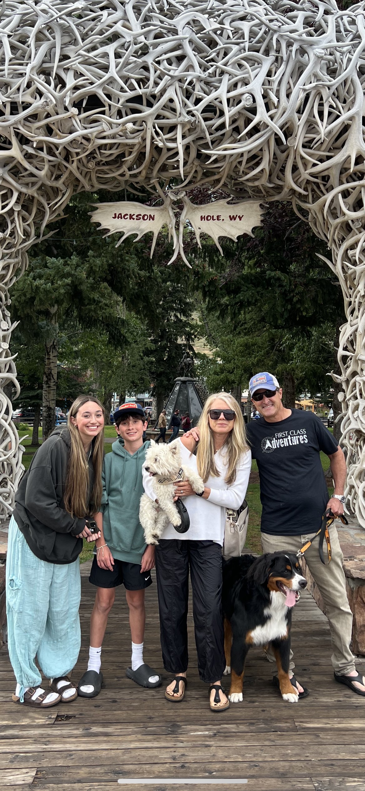 Owner Banner