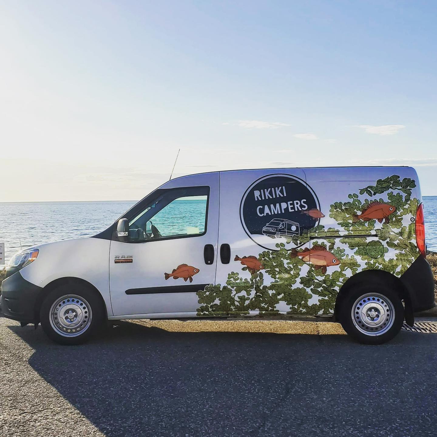 2021 Dodge Promaster City #5