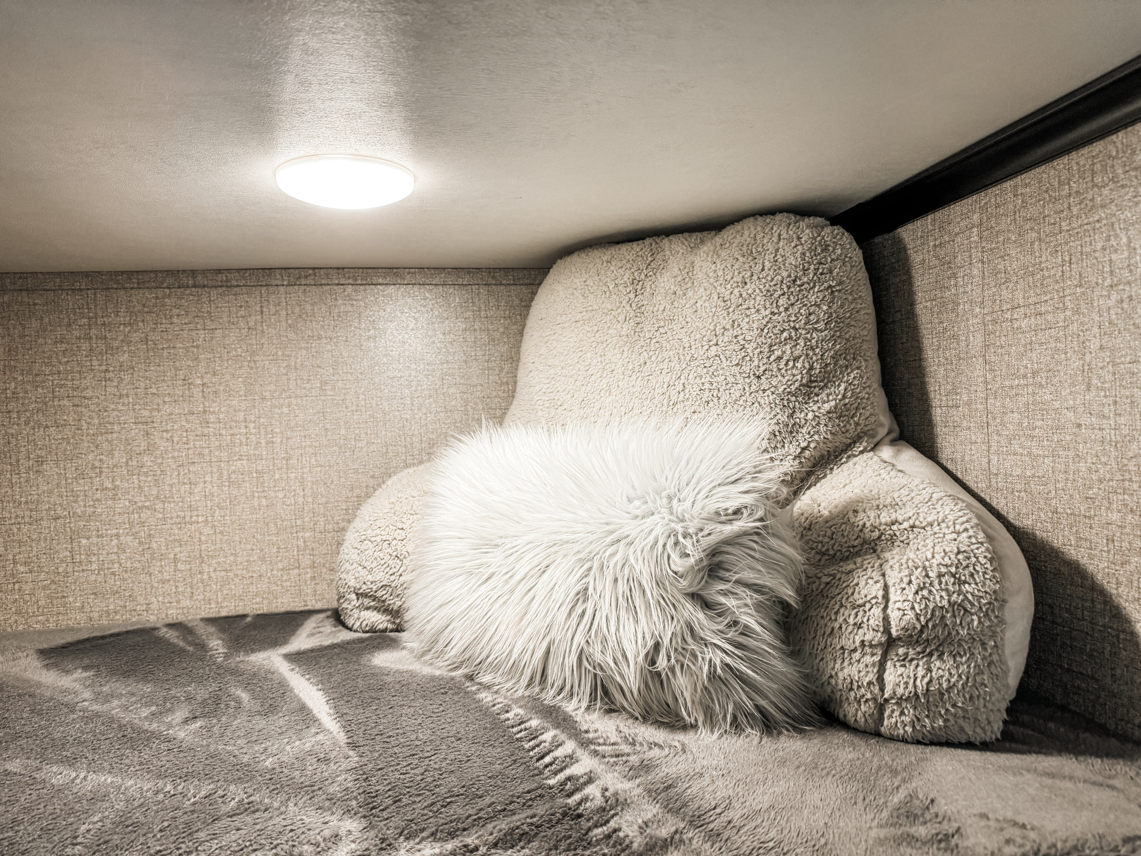 Inside an RV rental: a comfortable bunk featuring a textured wall, cozy blanket, and soft pillows under a bright light.. Jayco Seismic Toy Hauler 2021