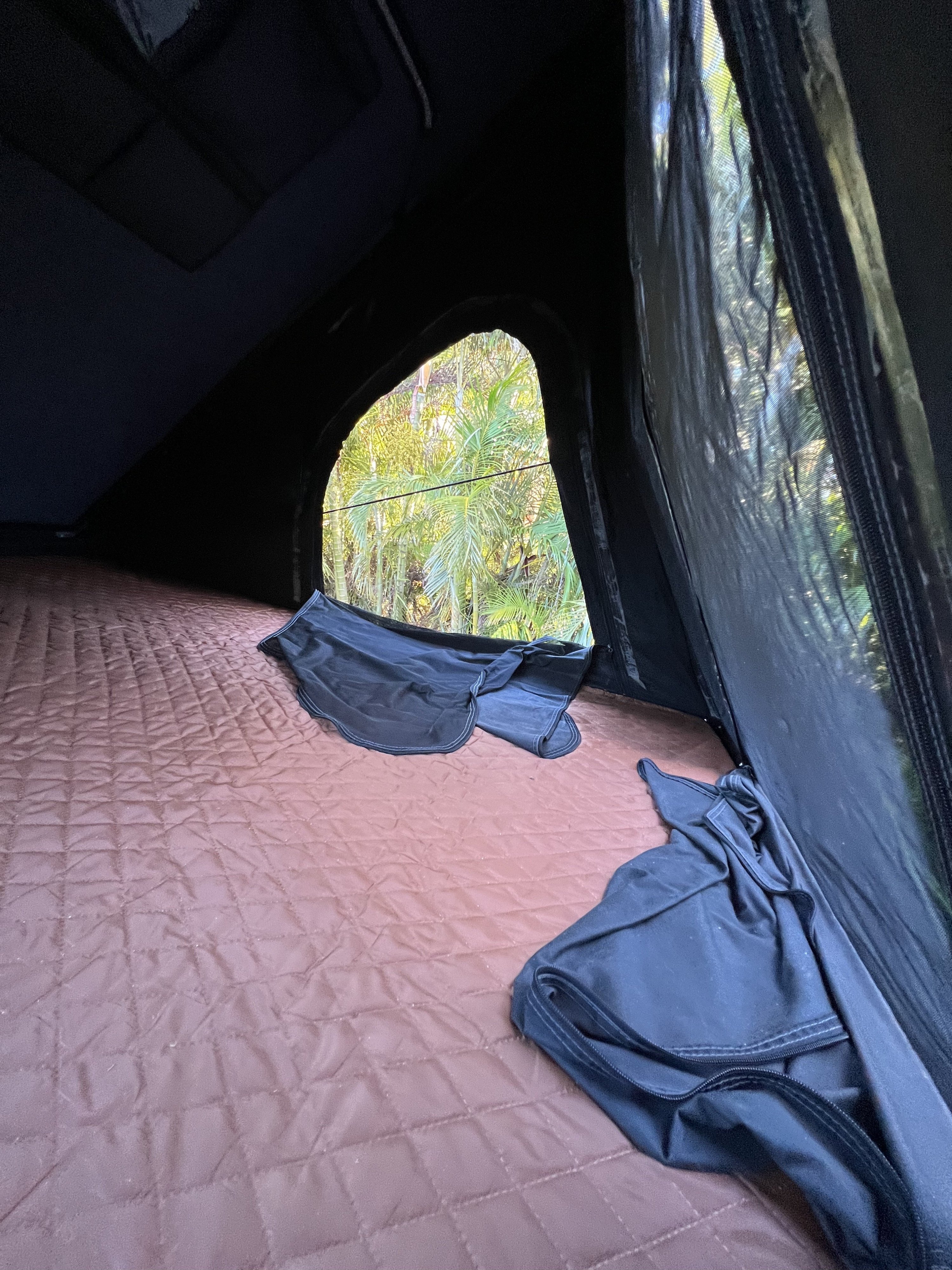 Cozy RV rental sleeping space with a quilted mattress & lush palm view from the window. Perfect for your outdoor adventure!. Jeep Compass 2017