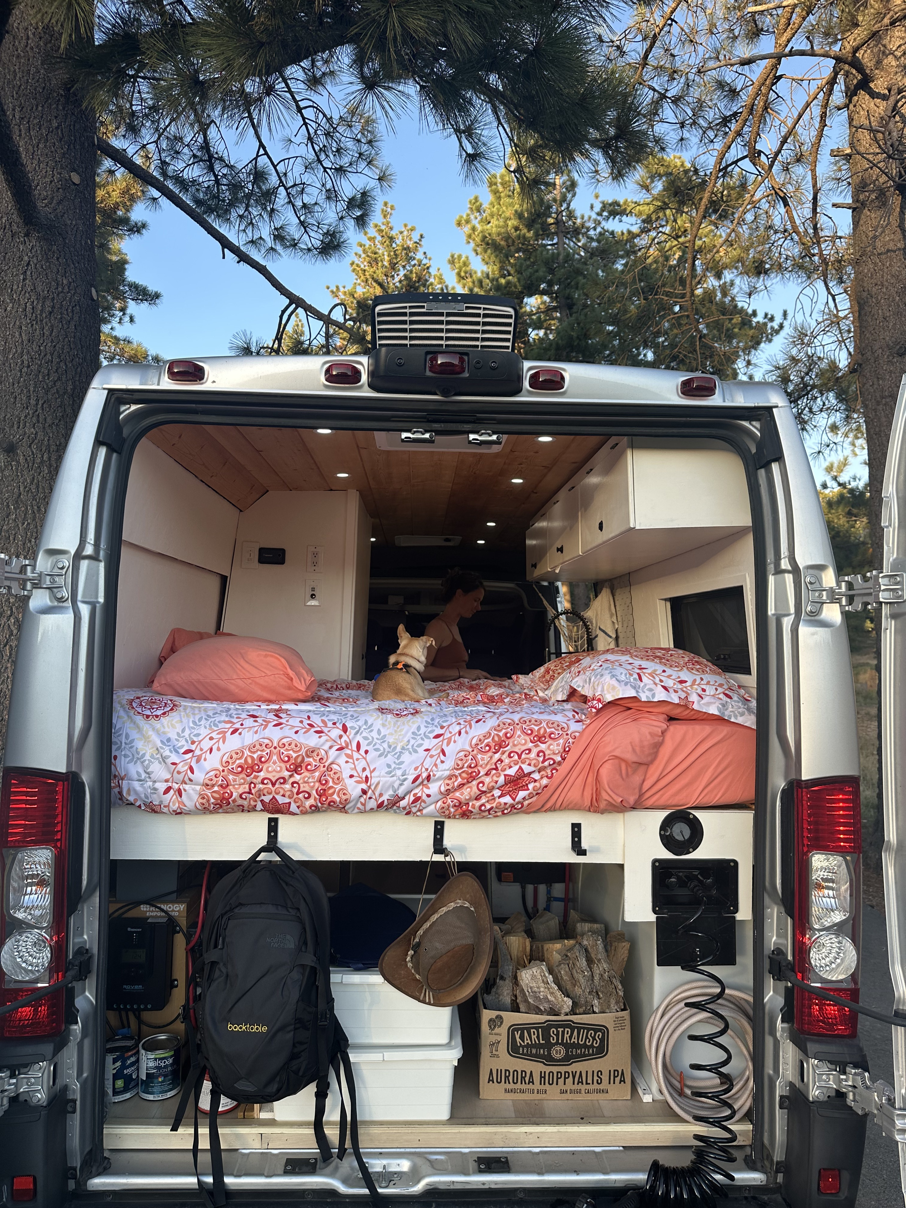 Cozy rv rental interior reveals a person, dog, bed, and smart storage under pine trees, perfect for van life adventure.. Dodge Ram ProMaster 2021