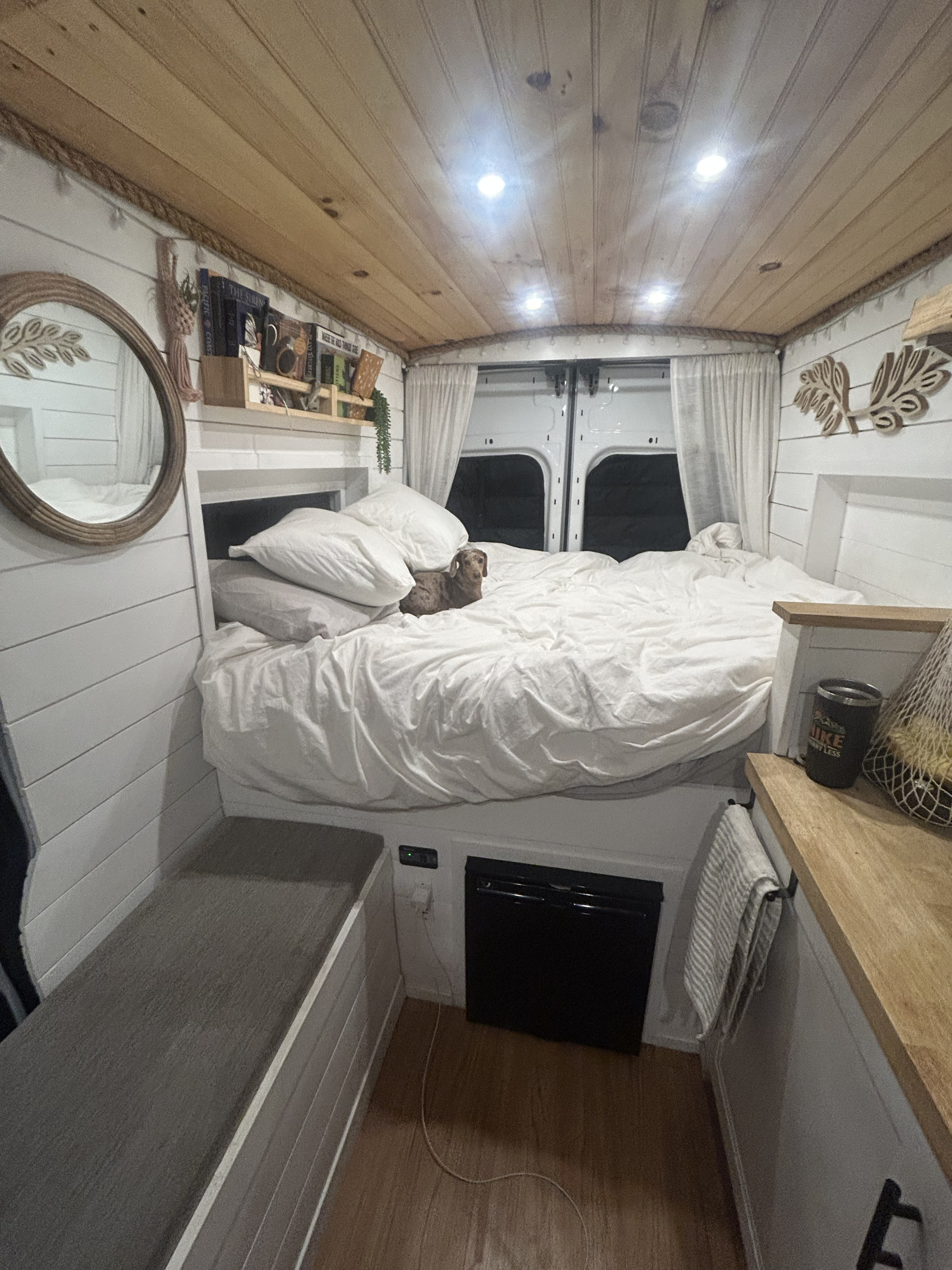 Cozy RV rental interior: shiplap walls, wood ceiling, comfy bed with a relaxed dog. An inviting tiny home for travel.. Ford Transit 2020