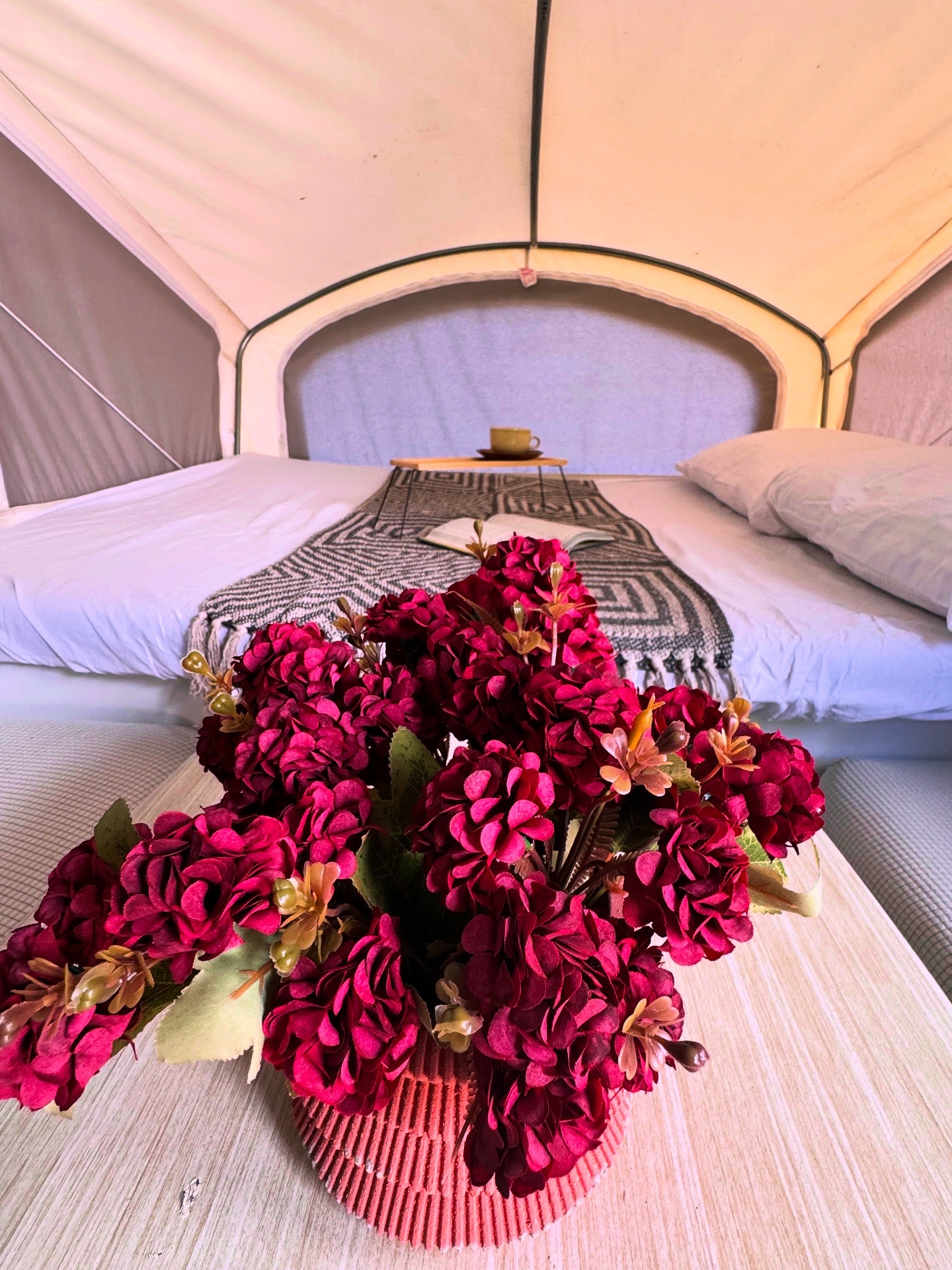 This cozy RV rental features a bed, patterned blanket, reading nook with a cup, and vibrant dark red flowers in the foreground.. Sportsmen Sportsmen Trailer 2014