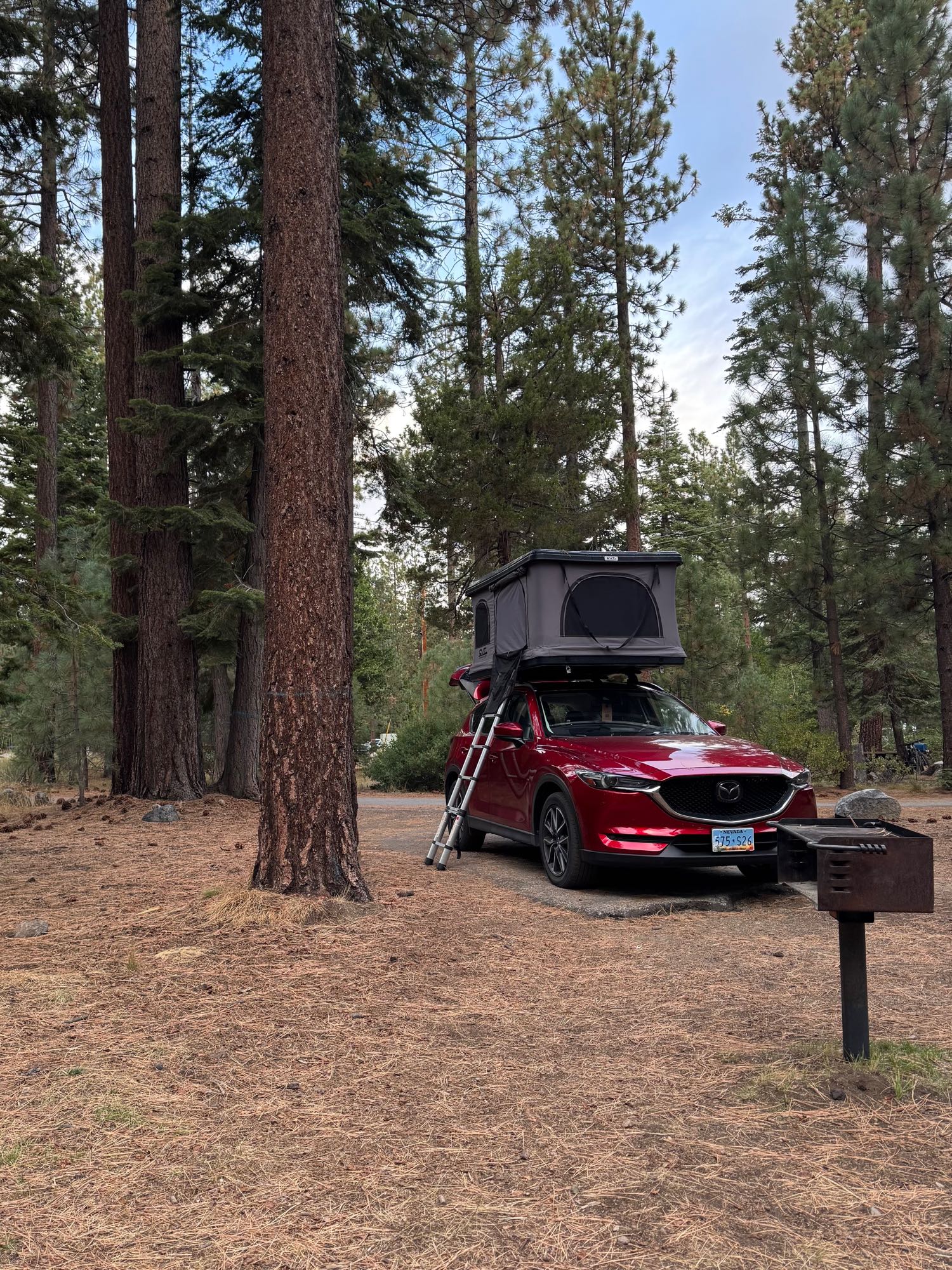 Mazda Yakima Person Roof Top Tent Yakima SkyRise HD Tent REI Co-op