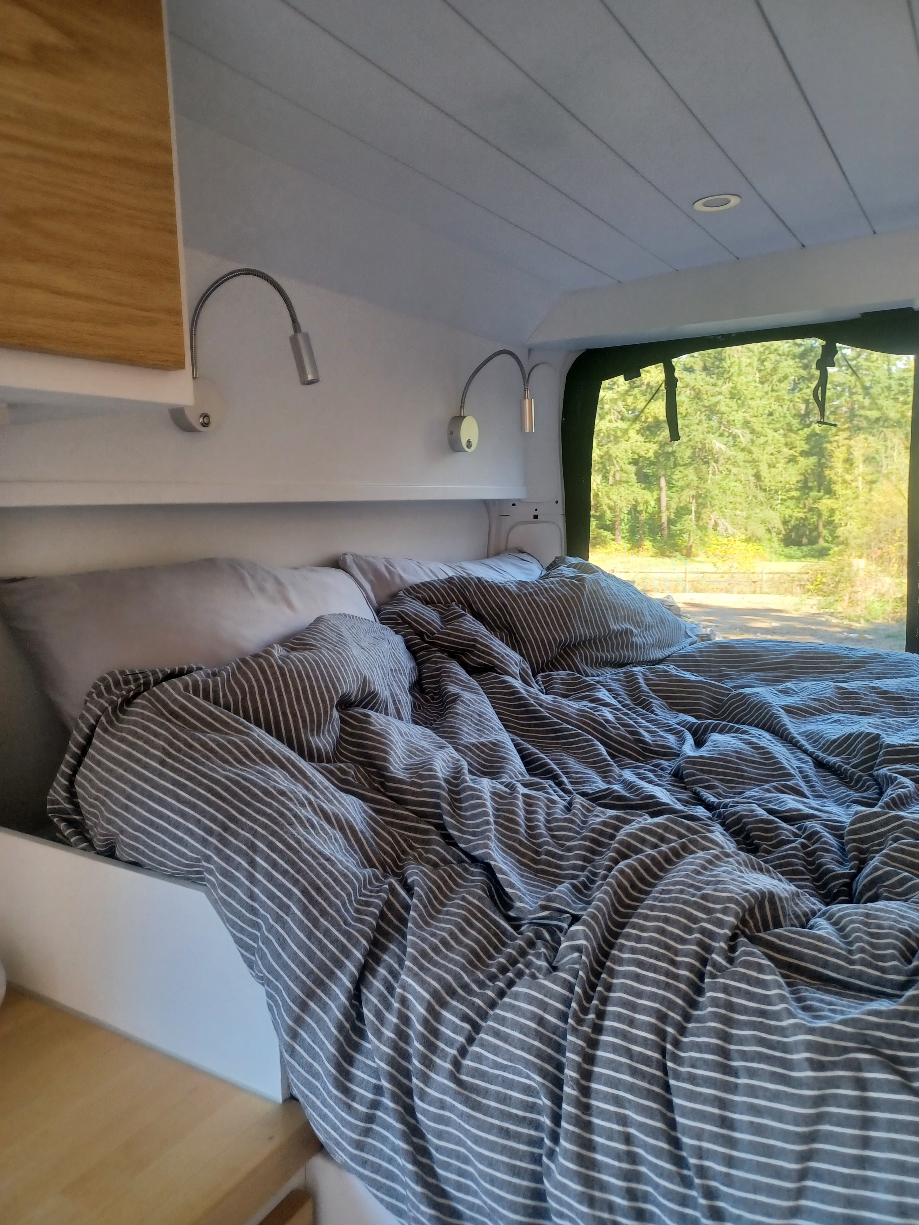 Inside an **RV rental**, a cozy bed with gray striped linens and reading lights offers a peaceful view of lush trees outside.. Ram Pro master 3500 2015