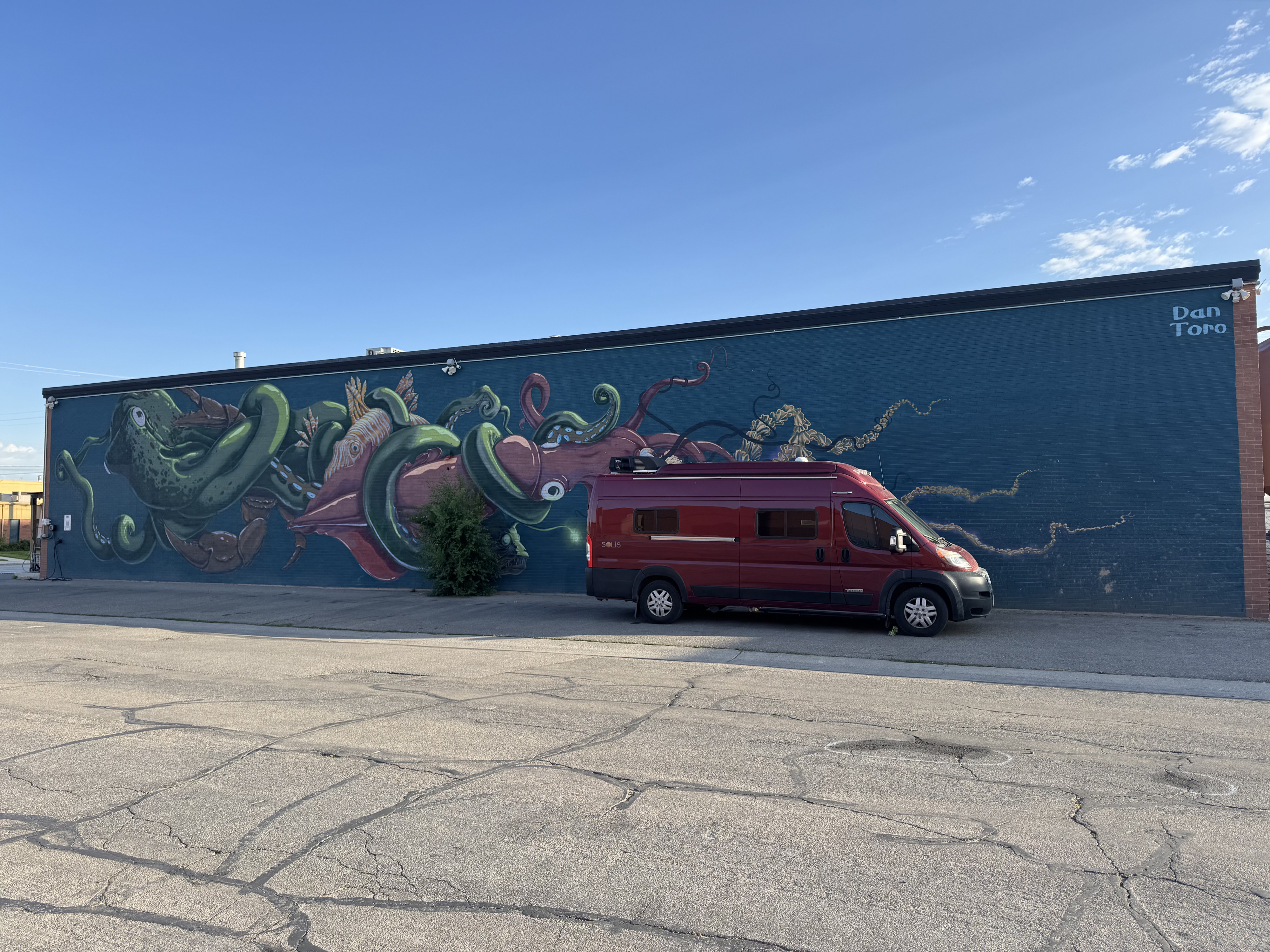 Owner Banner