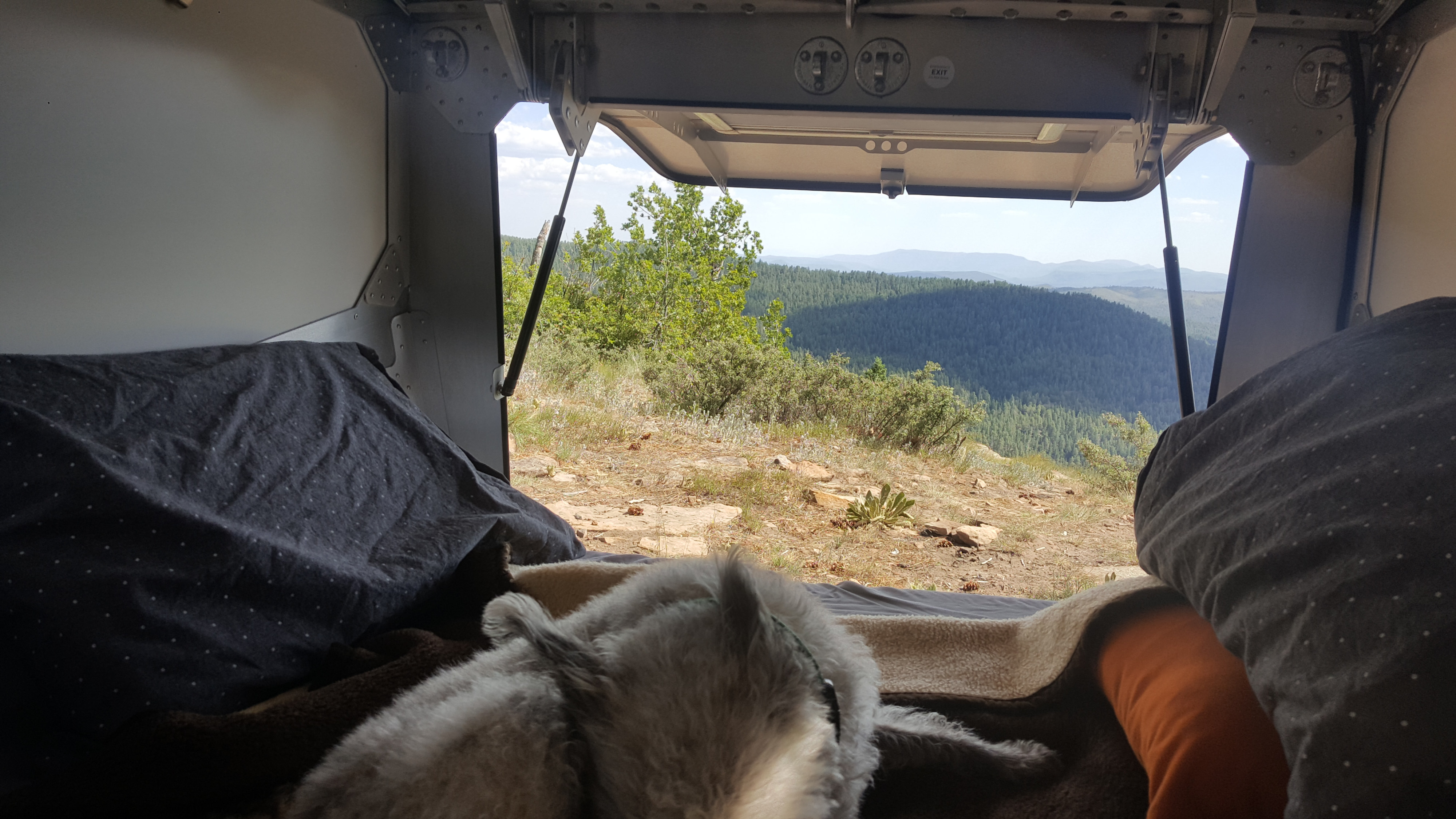 Cozy RV rental view: pet enjoys a mountain forest vista from the open camper hatch, overlooking scenic peaks.. Cricket standard 2013