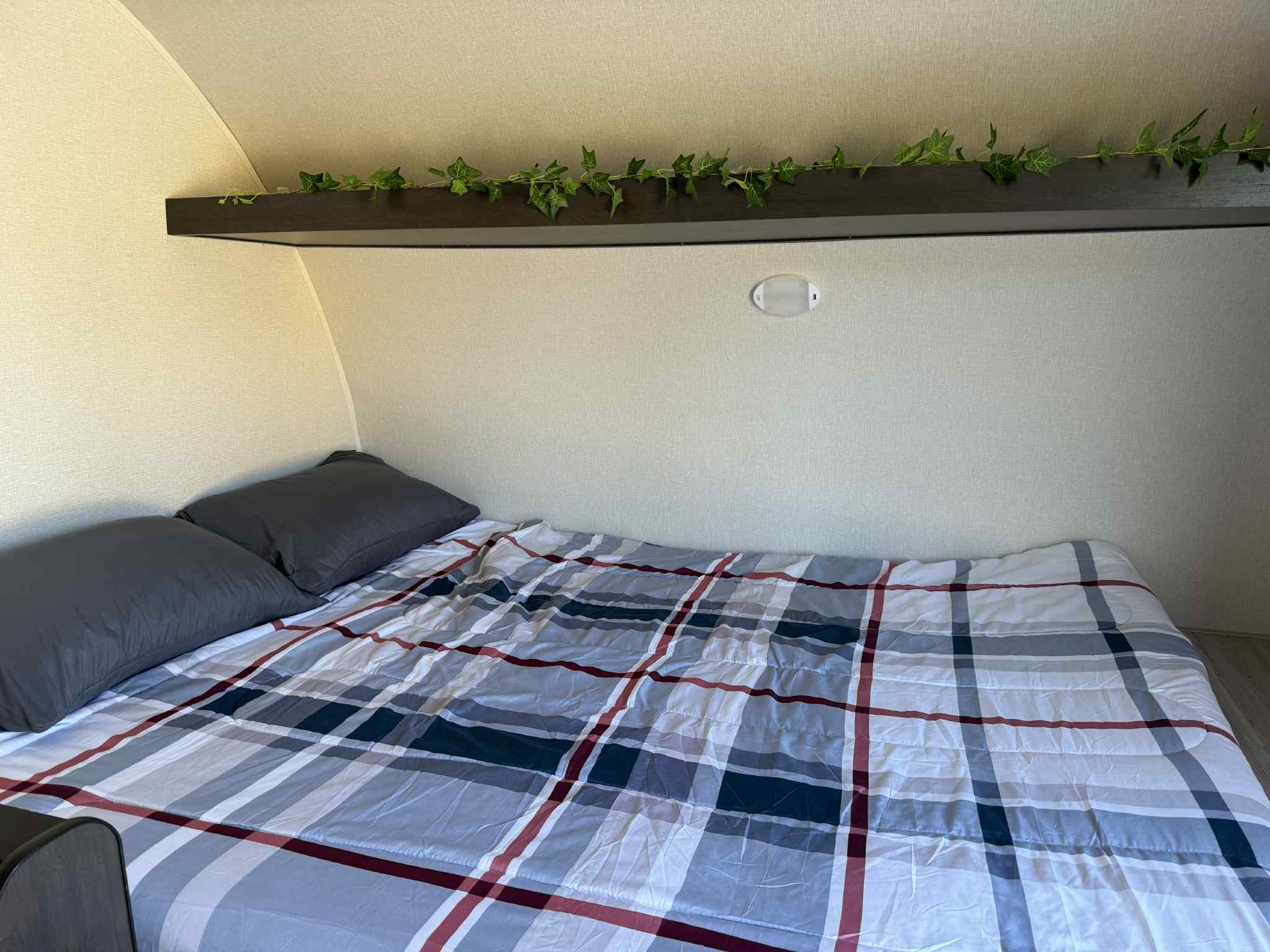 Cozy rv rental bedroom features a bed with plaid comforter & dark pillows, plus a shelf with decorative ivy.. Heartland 17 BHL 2025