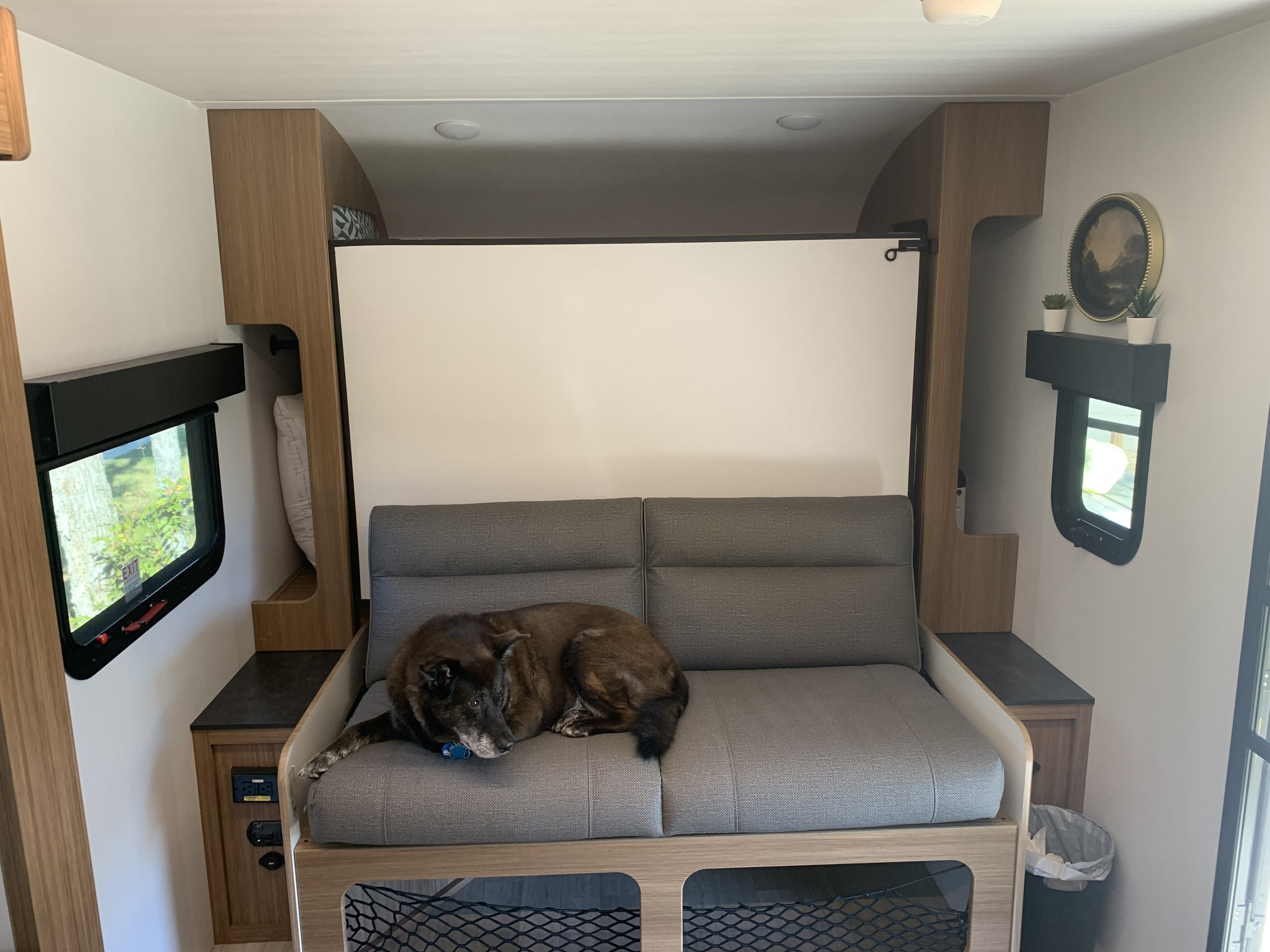 Interior of an RV rental: a sleeping dog naps on a gray sofa, surrounded by light walls and wooden accents.. Keystone Reign 18 RB 2025