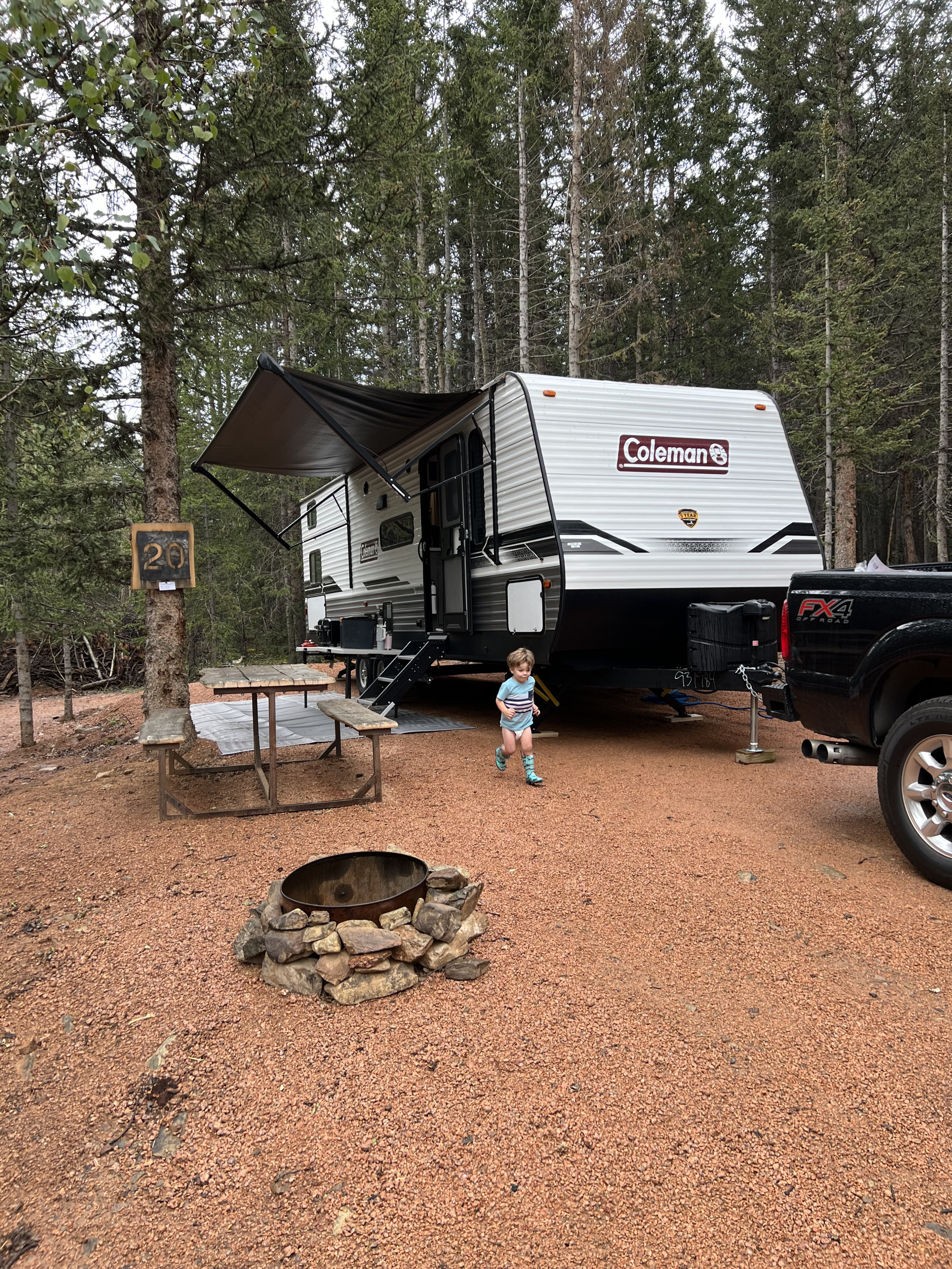 **Coleman Lantern 295QB**