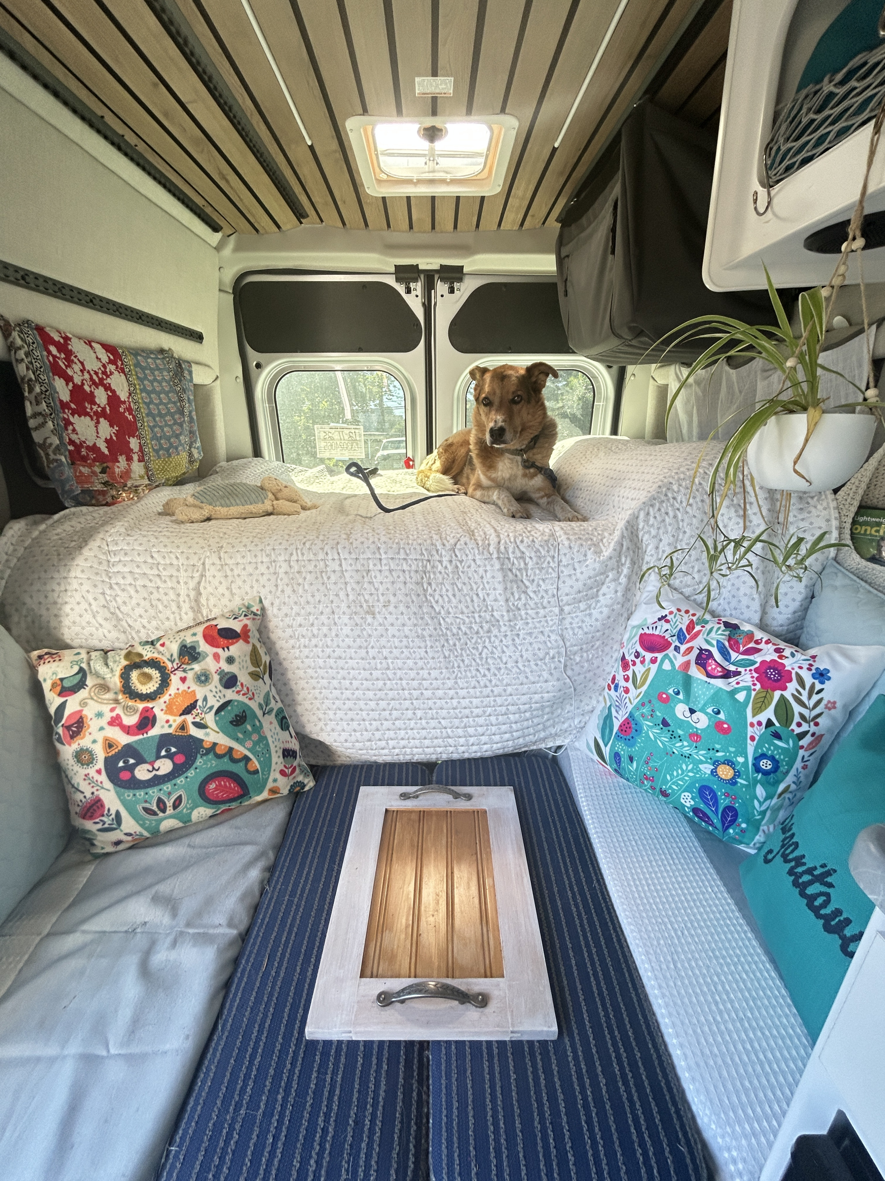 Inside a cozy RV rental, a happy dog relaxes on the bed amidst colorful pillows, beneath a wood-paneled ceiling with a skylight.. Thor Motor Coach Freedom Elite 2026