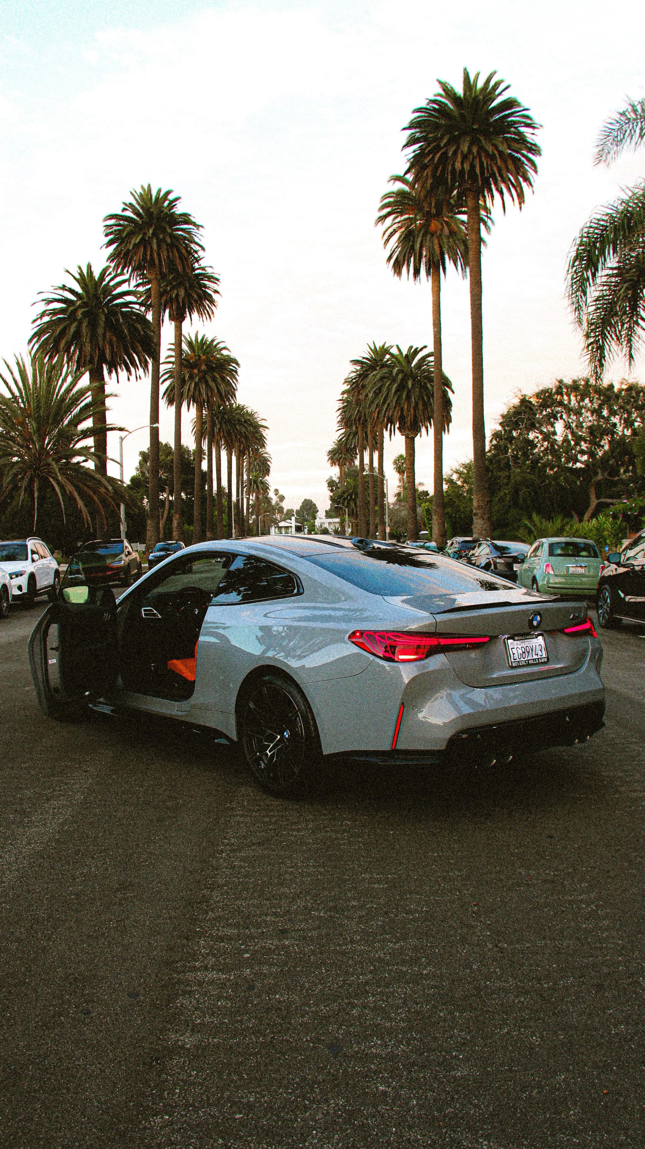2026 BMW M4