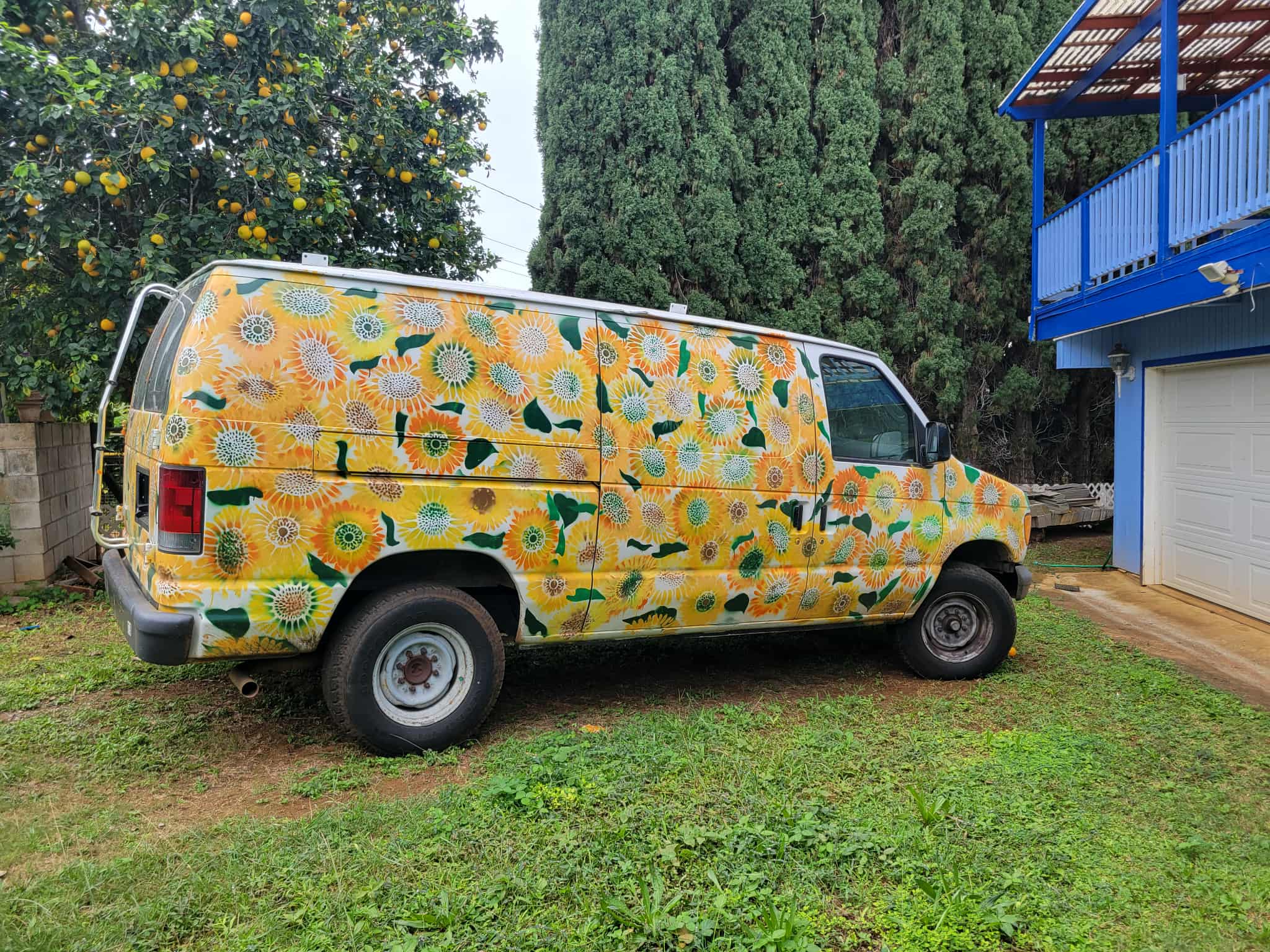 Daisy- The Happy Camper Van